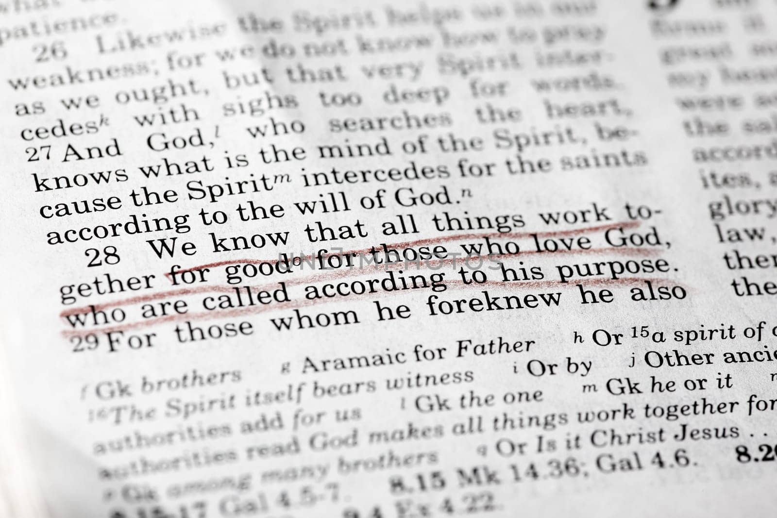 Romans 8:28