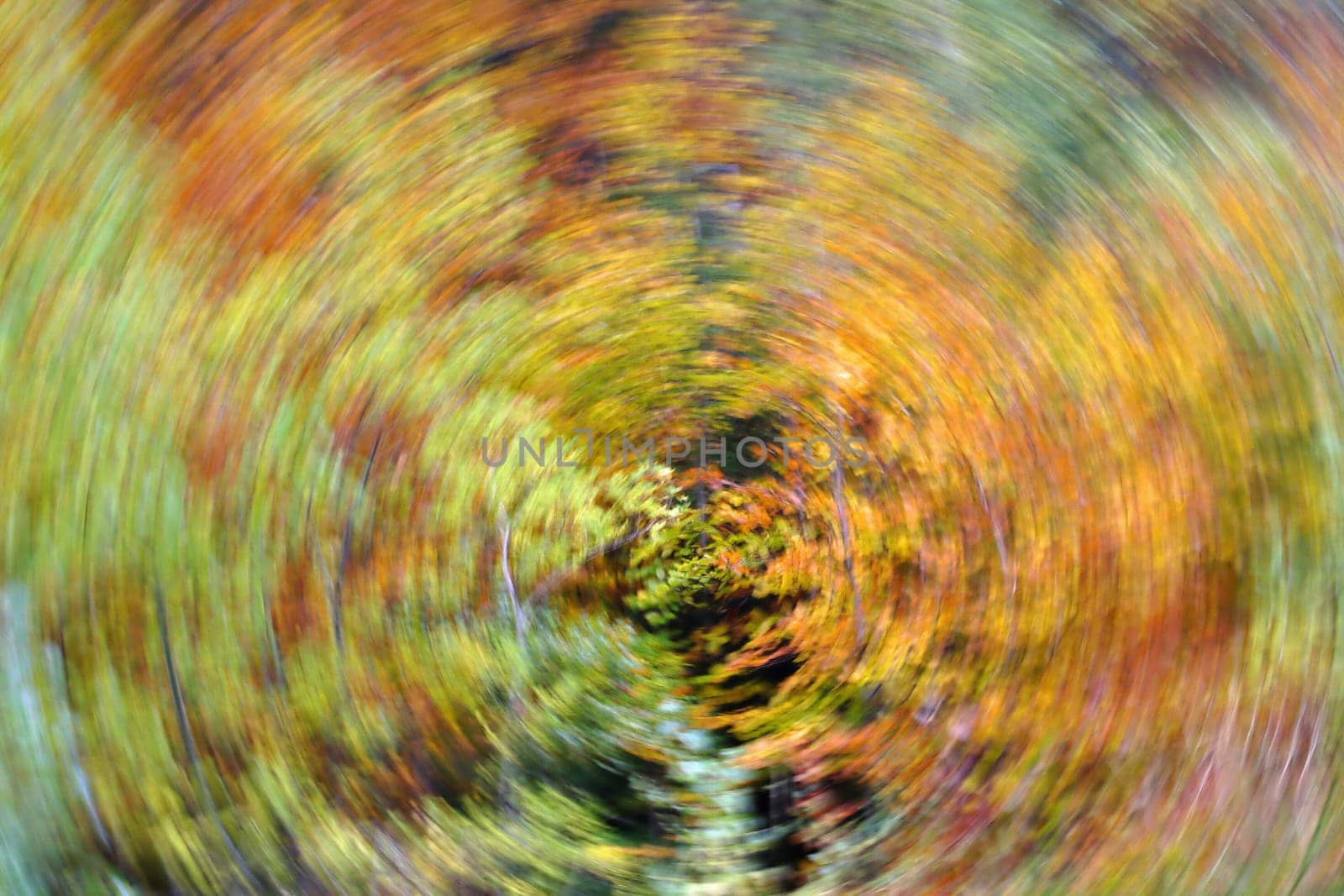 abstract autumn time