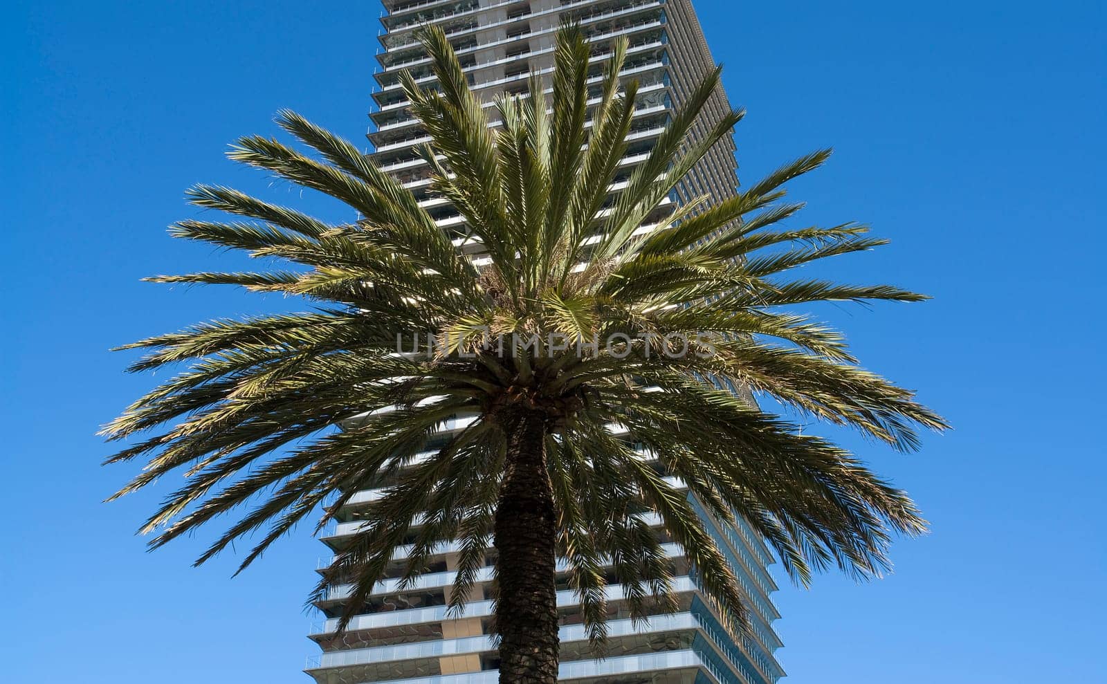 Holidays in Barcelona