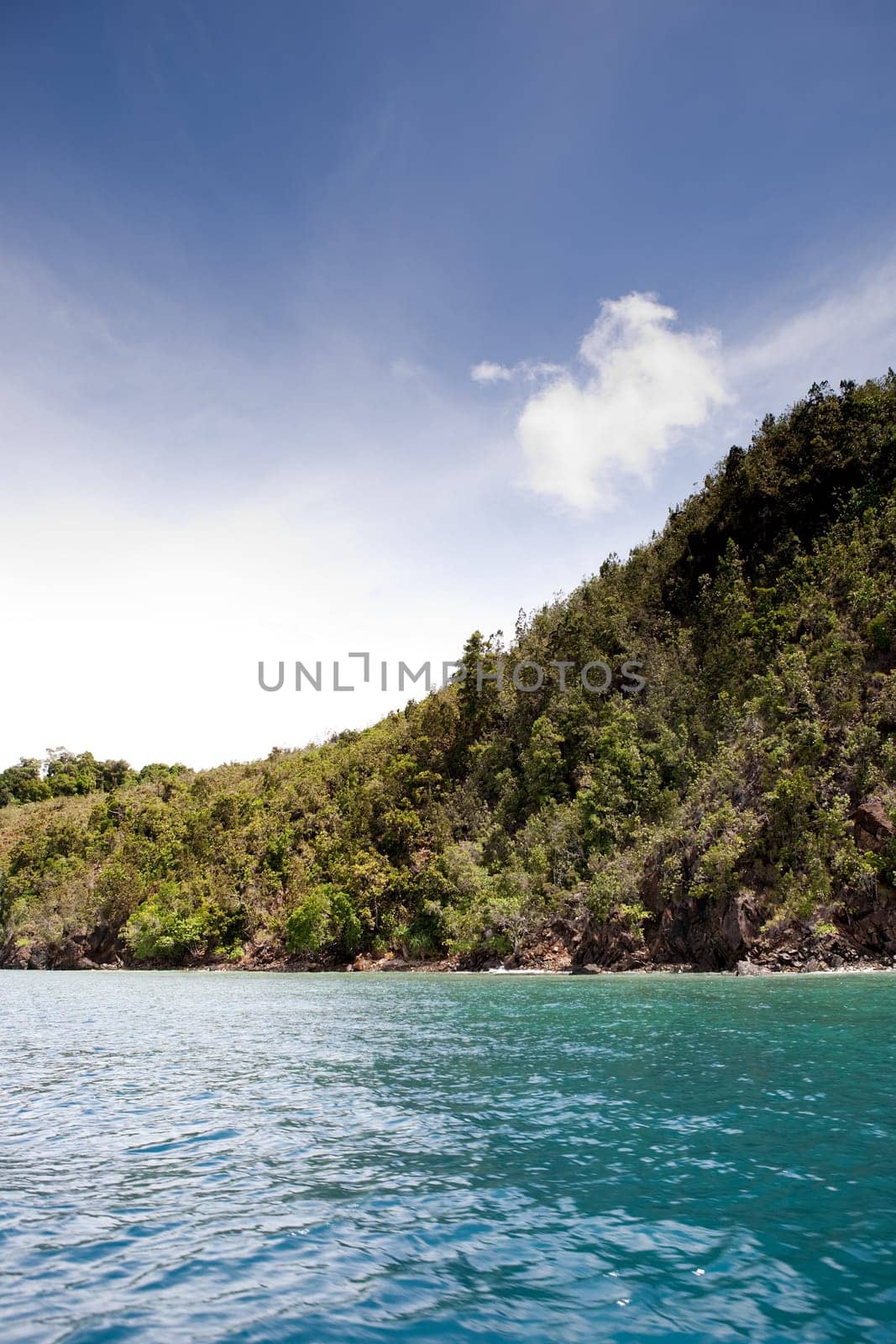 Tropical Beach