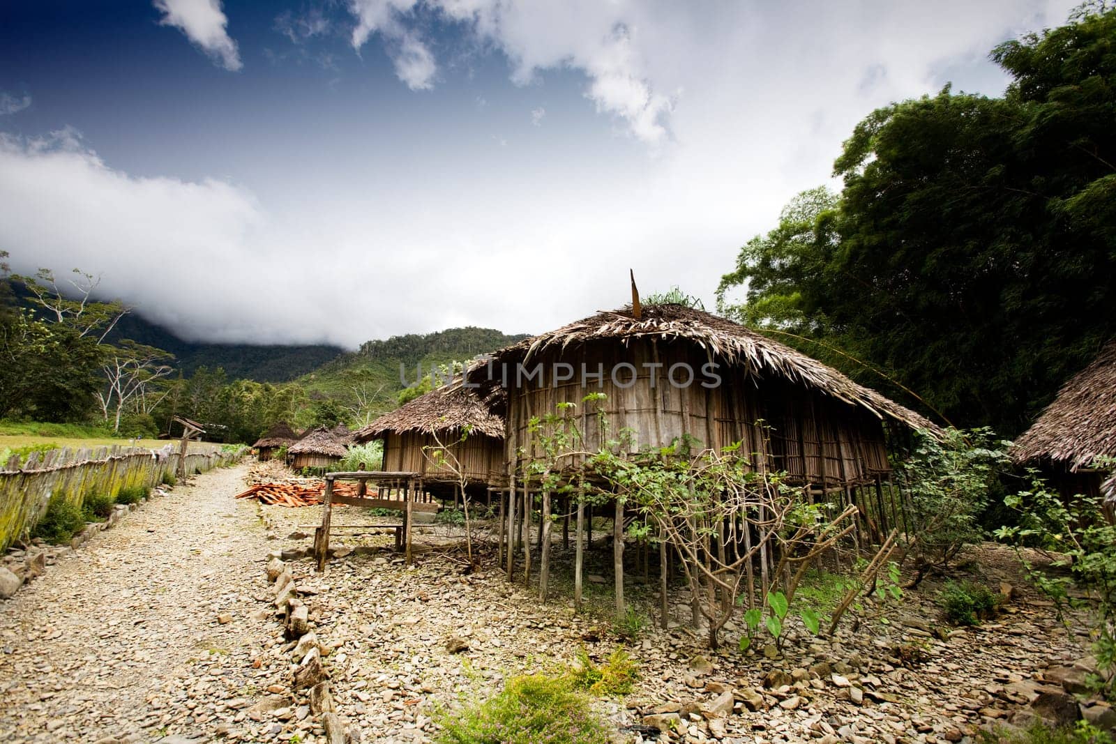 Village Hut
