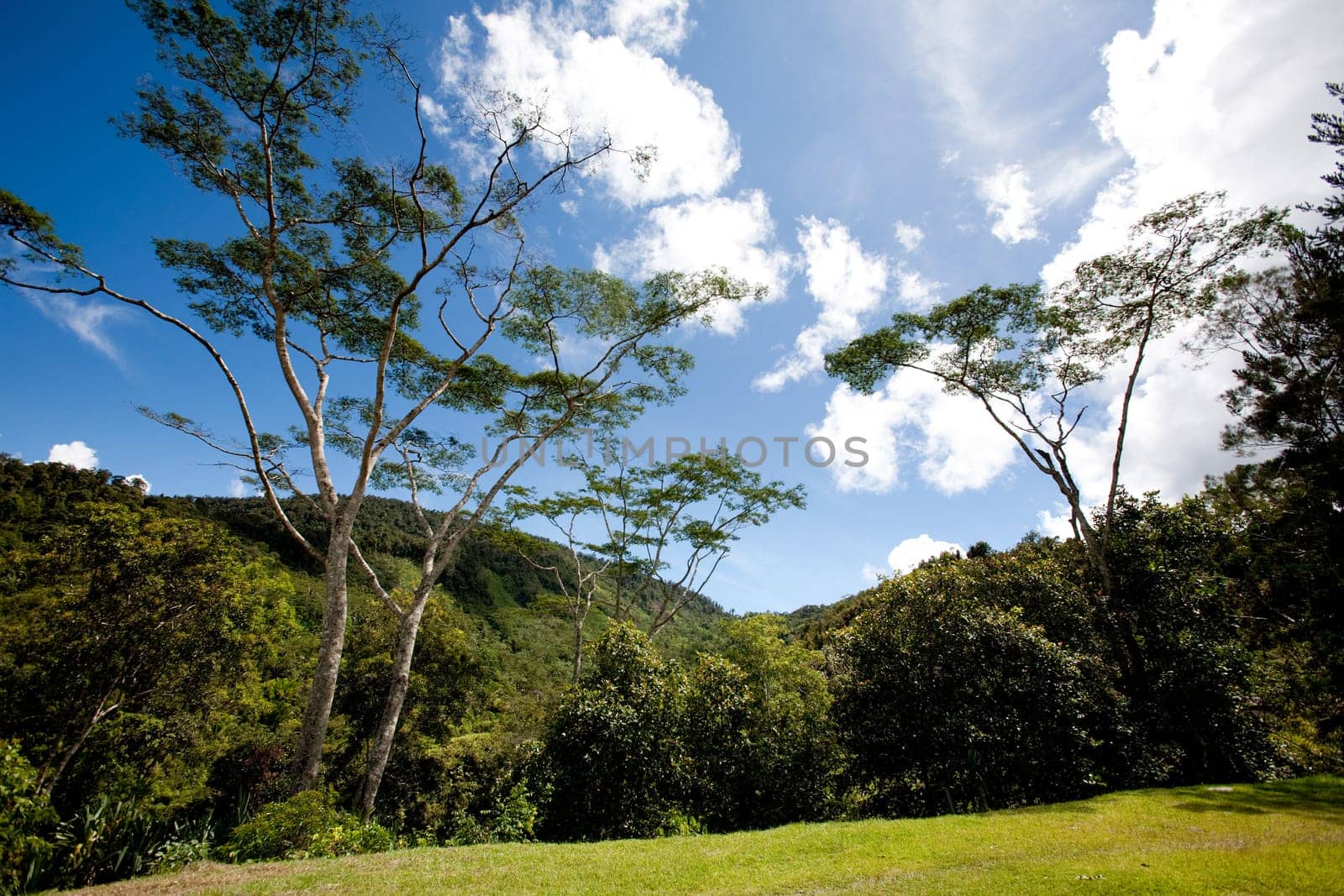 Mountain Landscape