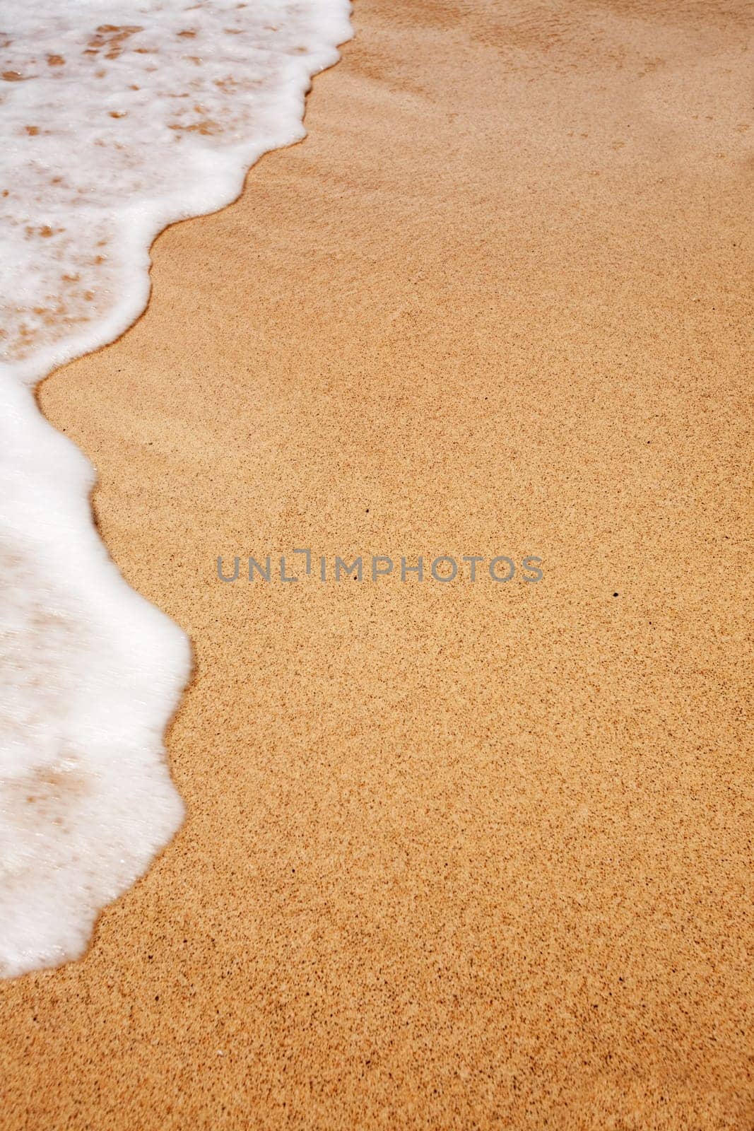 Beach Background