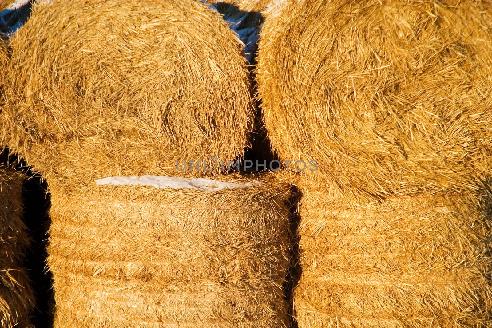 Straw Bale