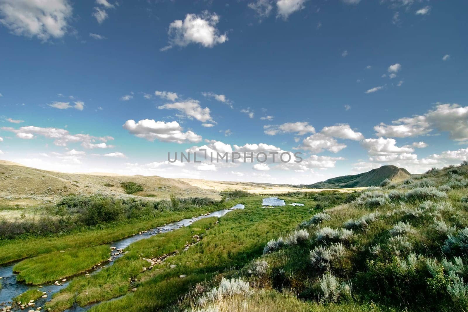 Creek Hills