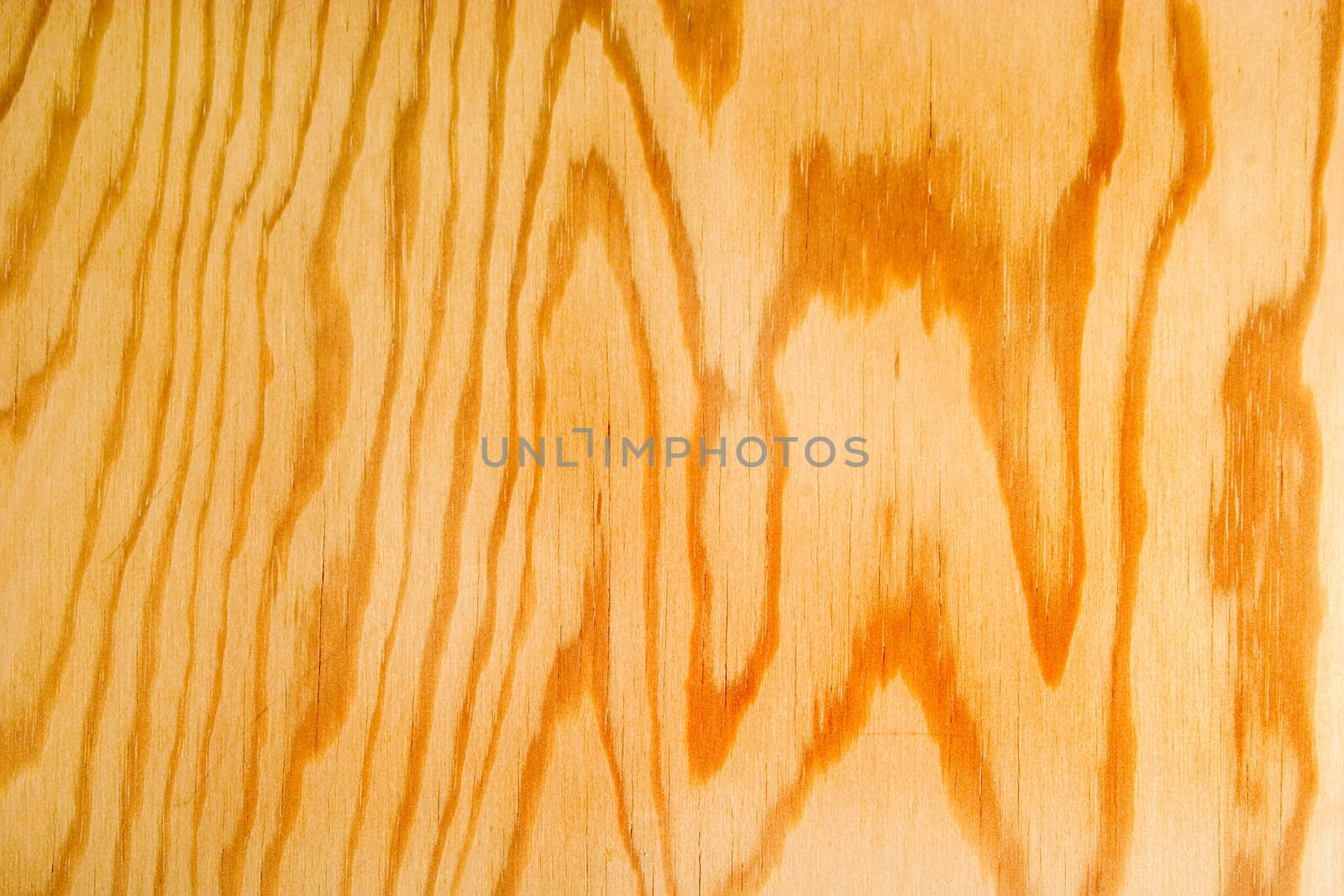 Wood Texture