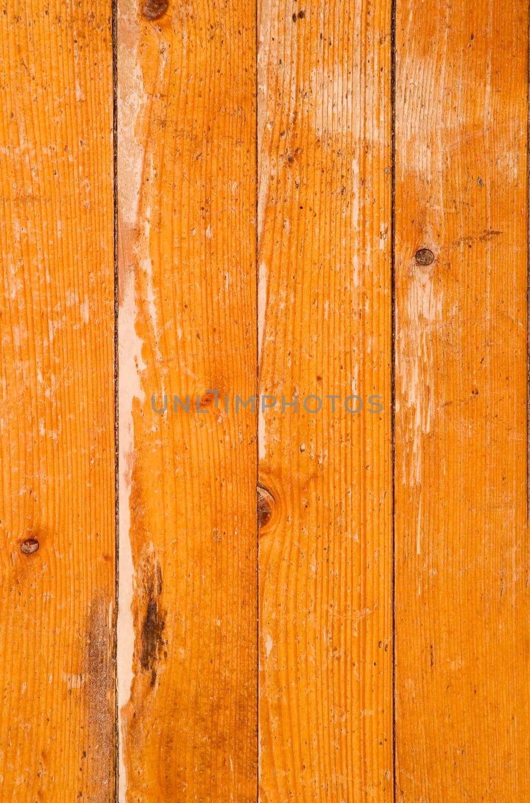 Wood Texture