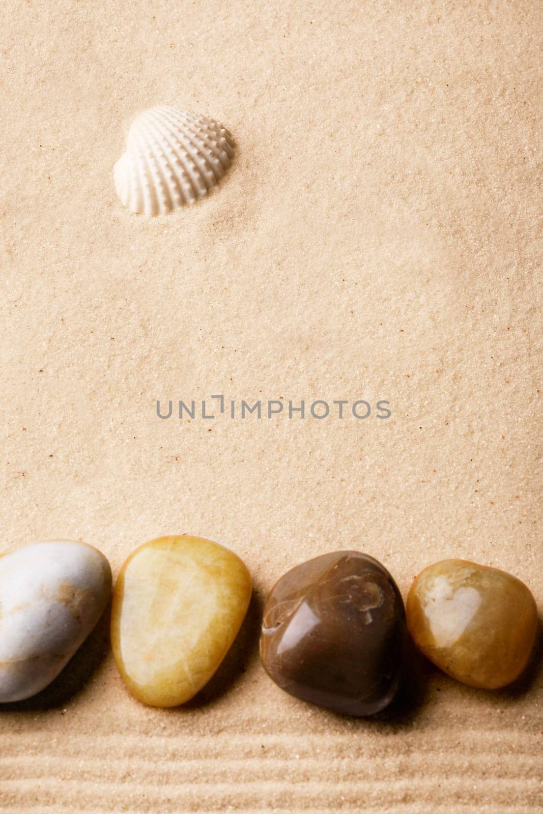 Beach Background