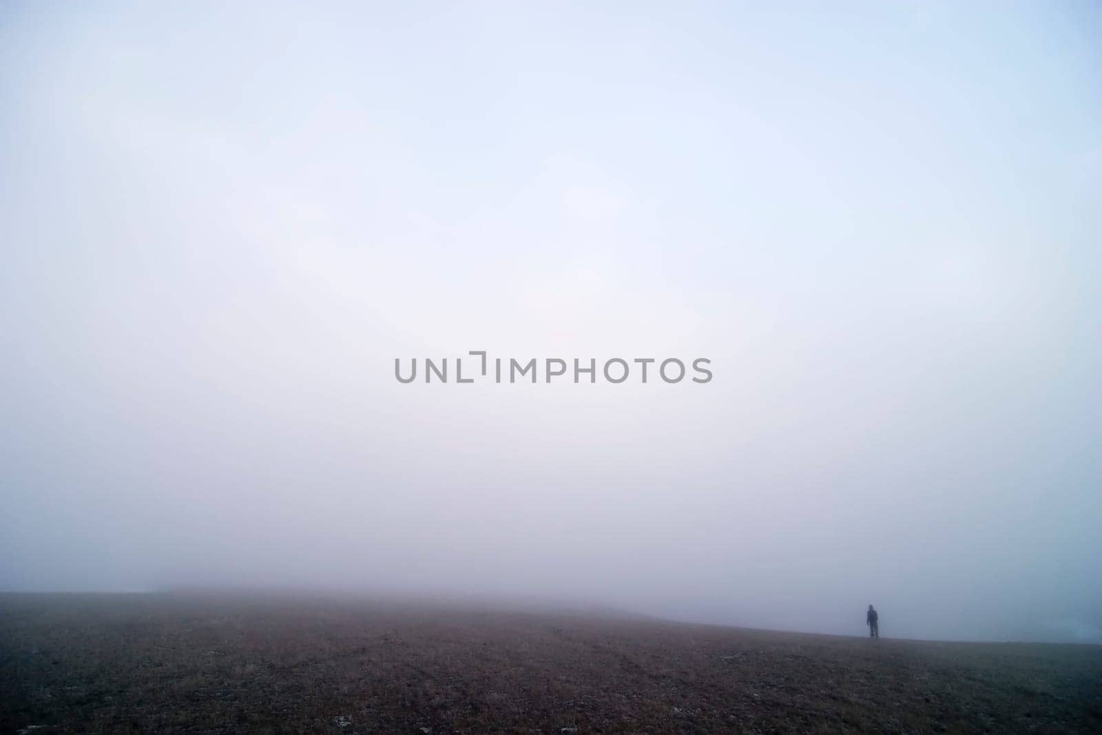 Fog Walk