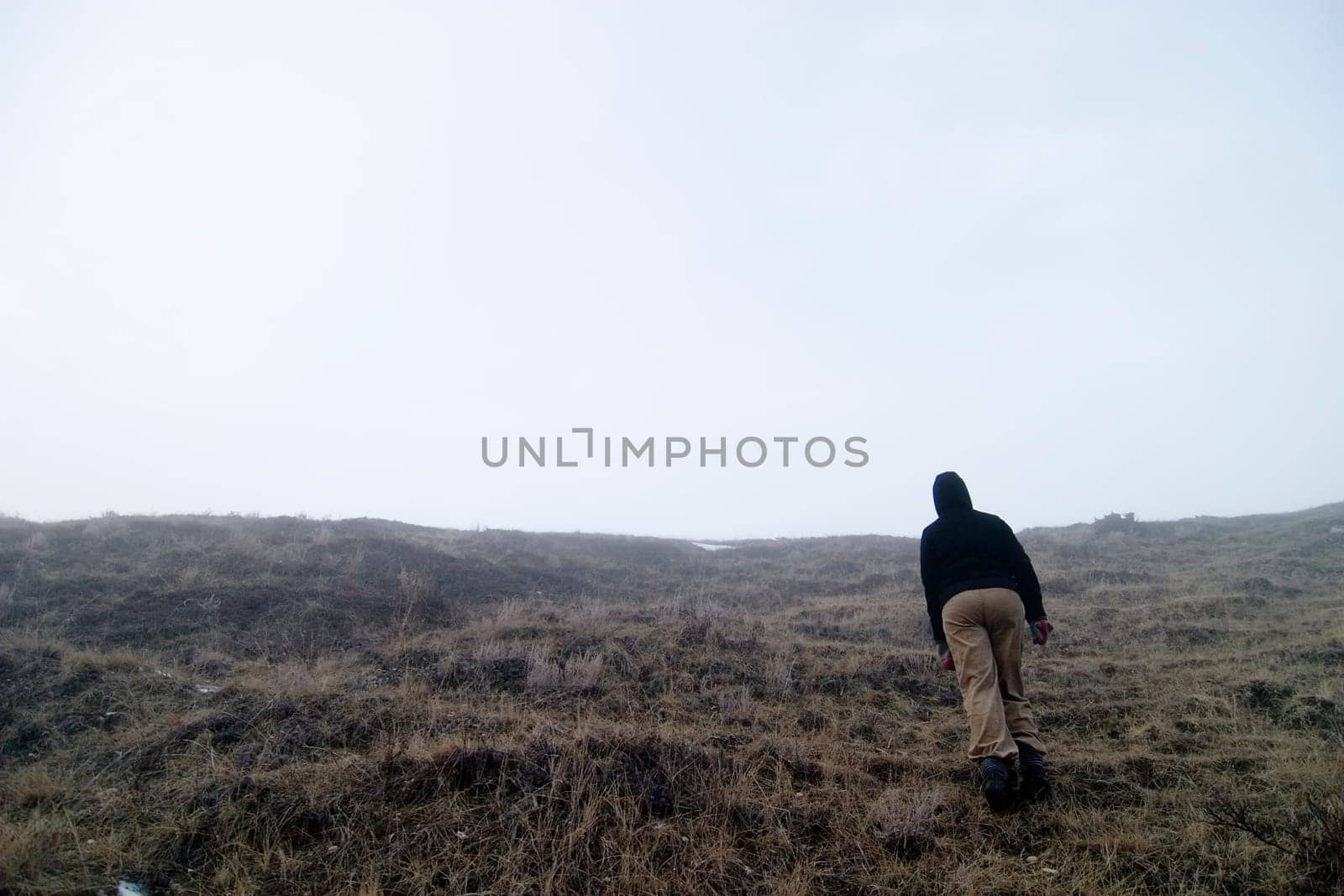 Fog Walk