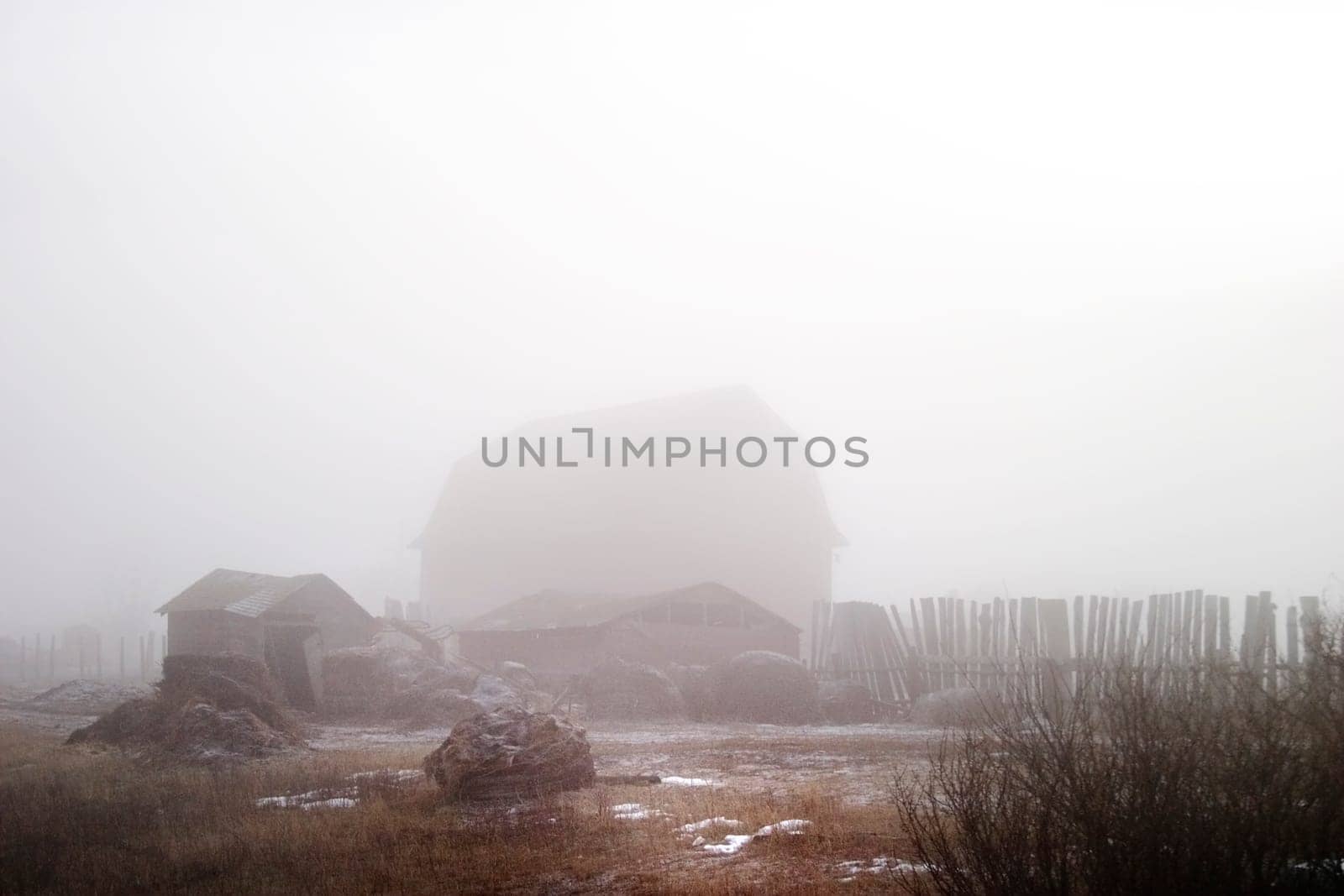 Fog on the Farm