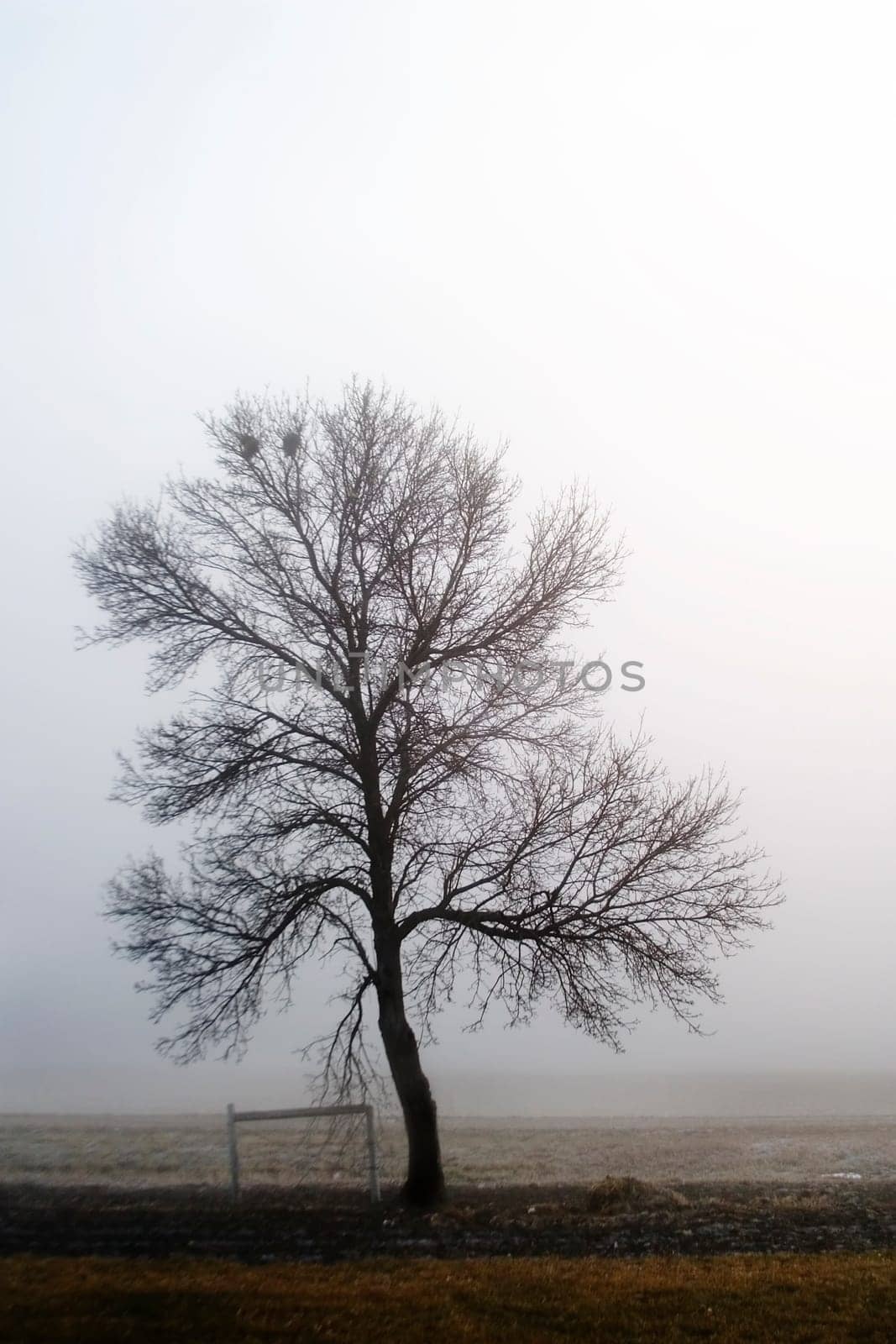 Alone