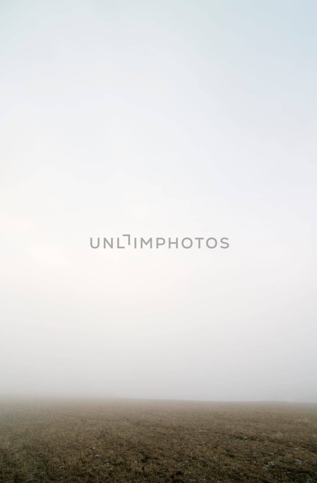 Prairie Fog