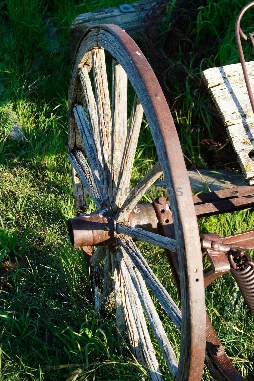 Wagon Wheel