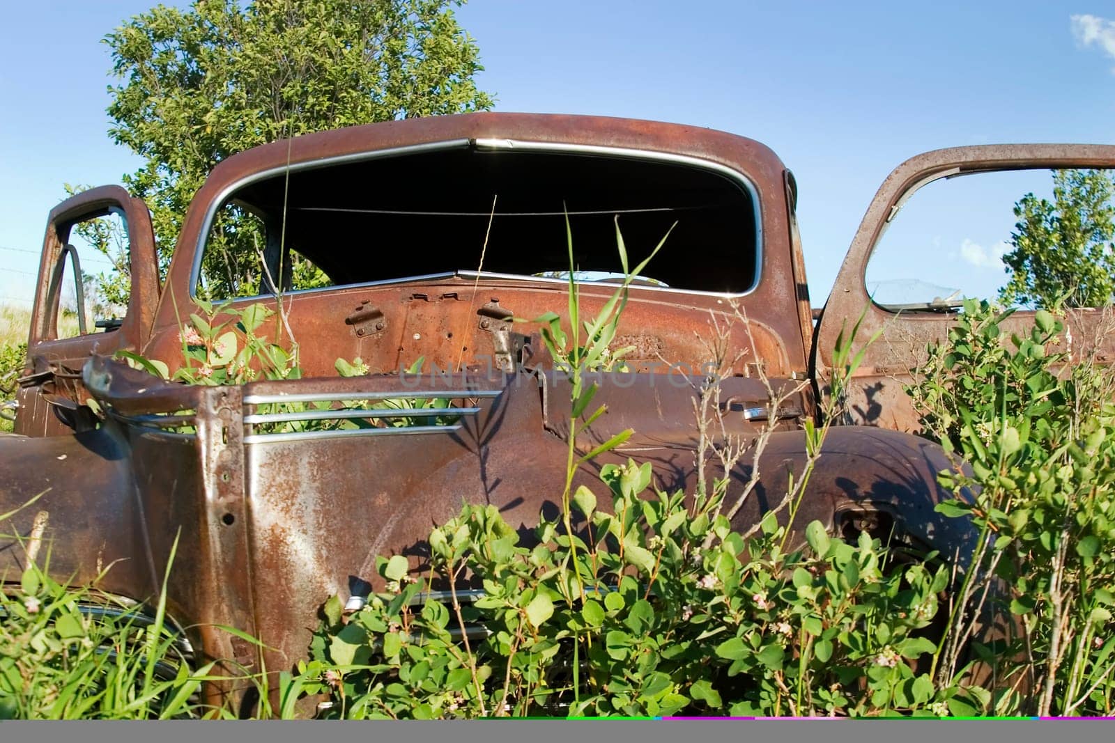 Overgrown Antique Car