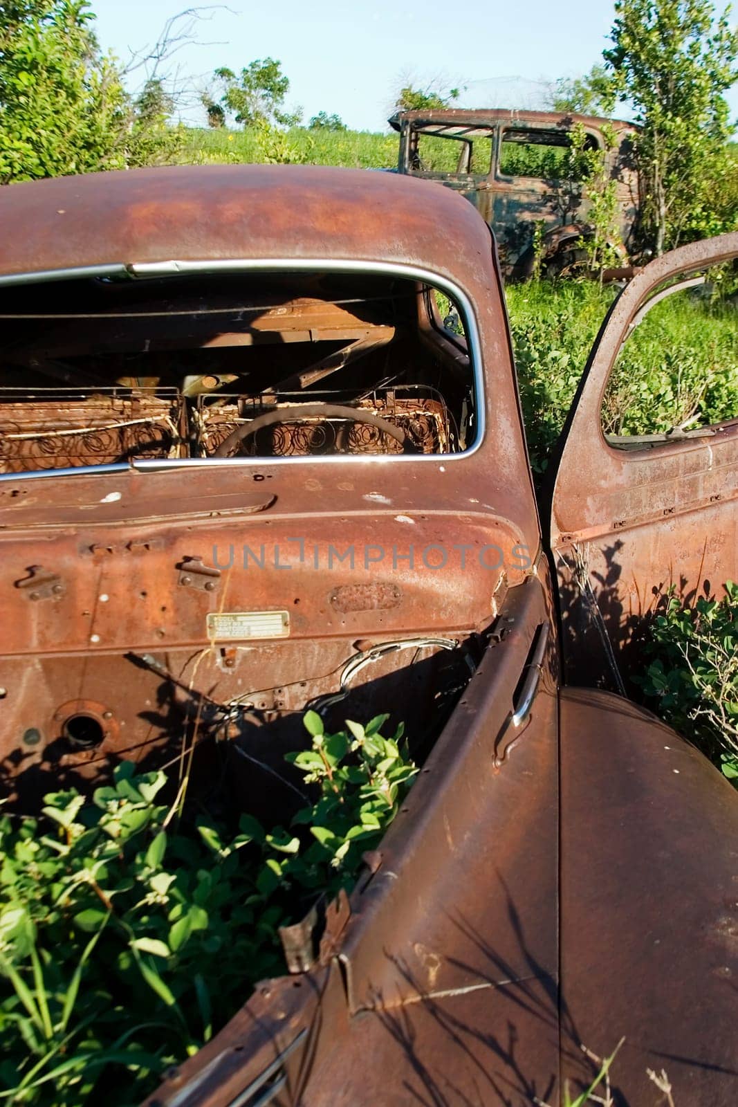 Overgrown Antique Car
