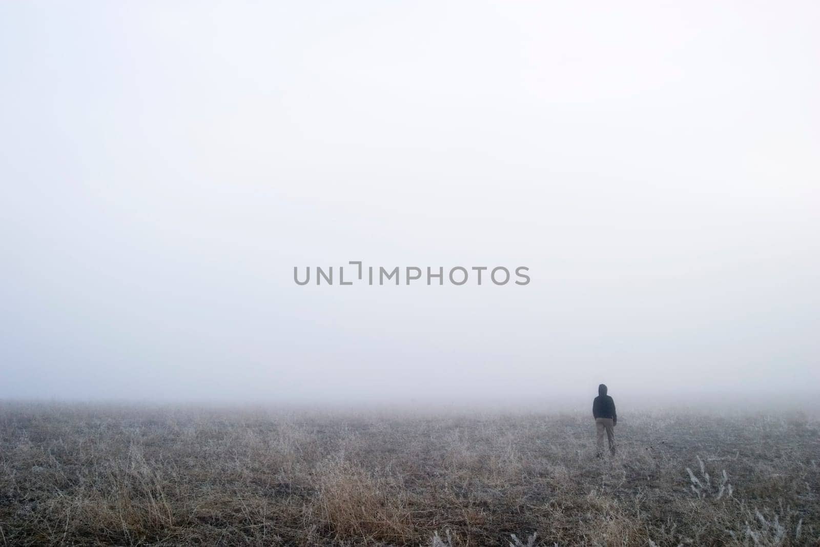 Fog Walk