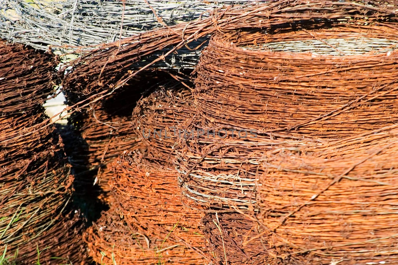 Barbed Wire Texture