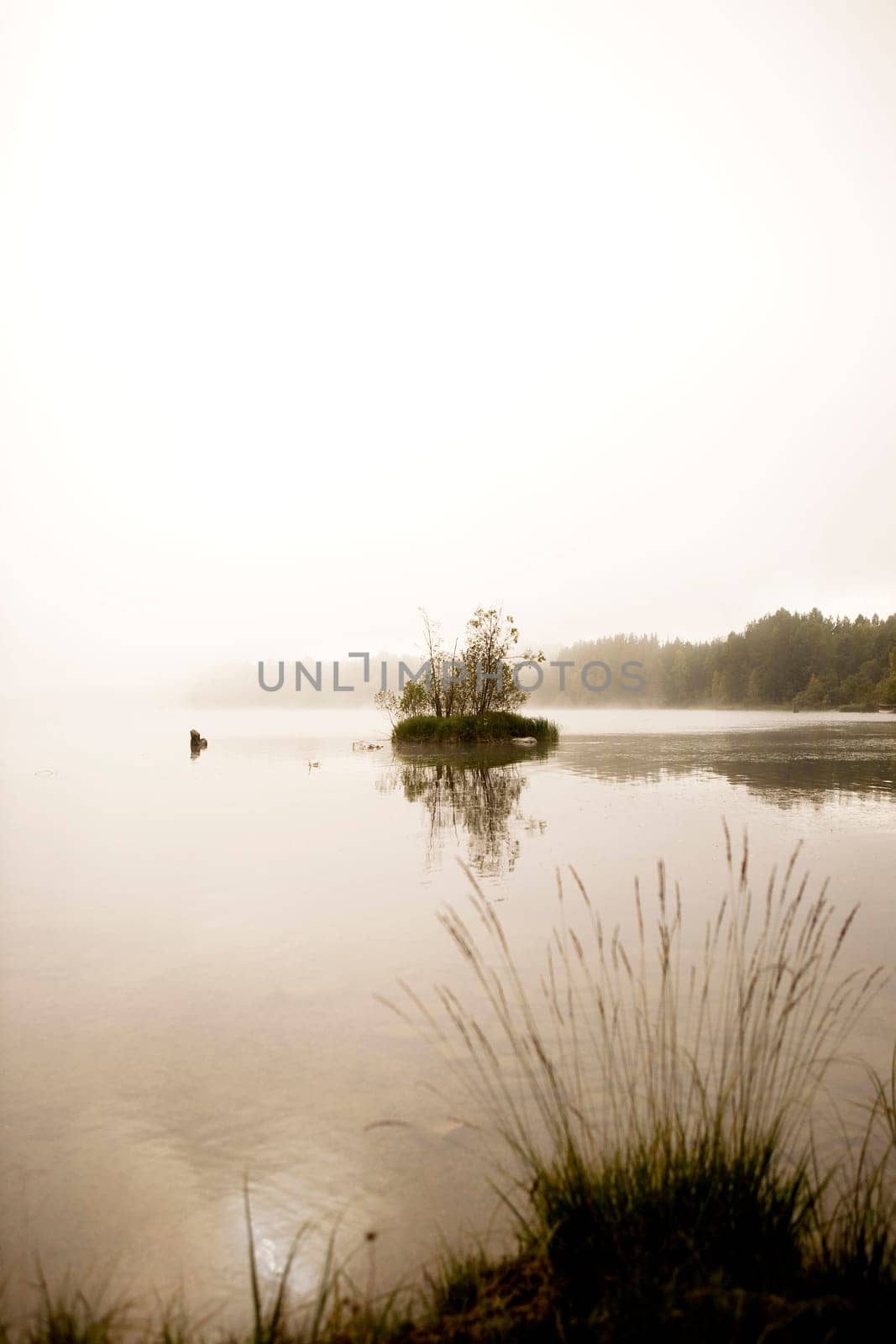Peaceful Lake