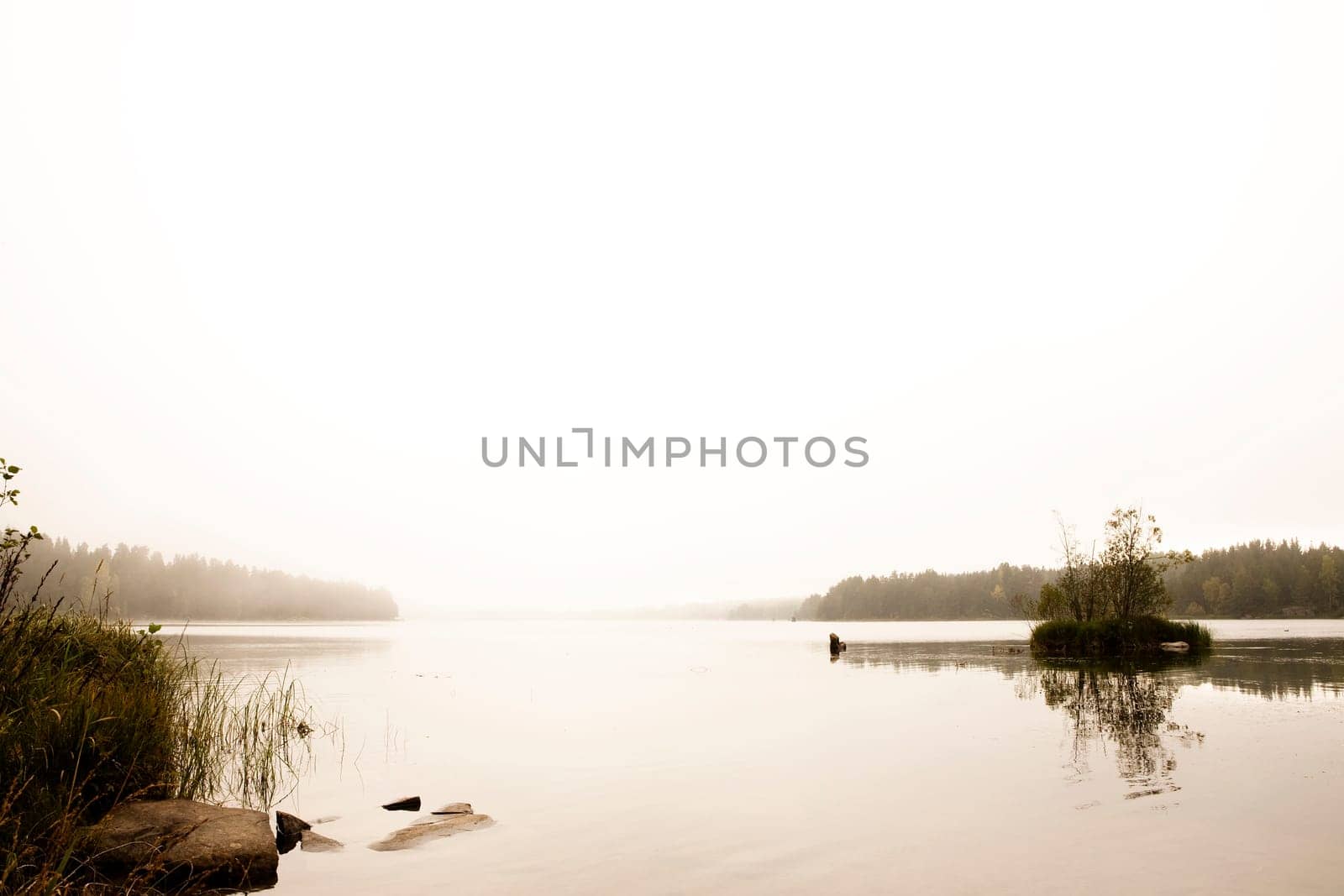 Quiet Lake