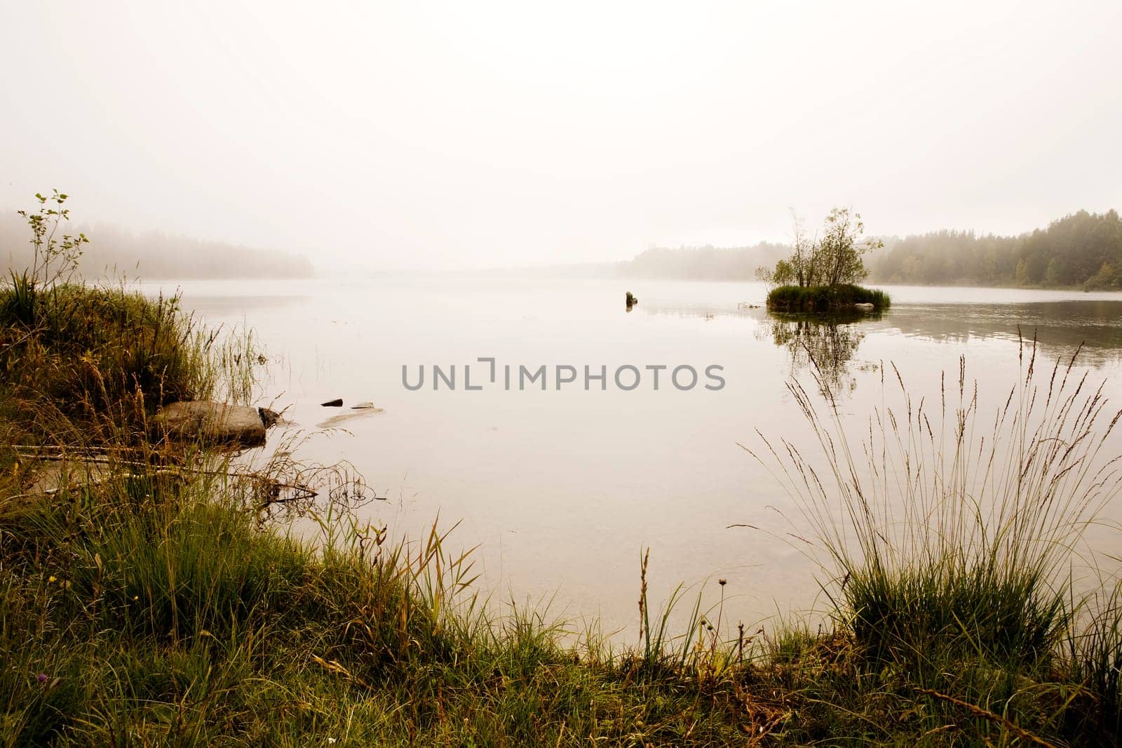 Fog on Lake