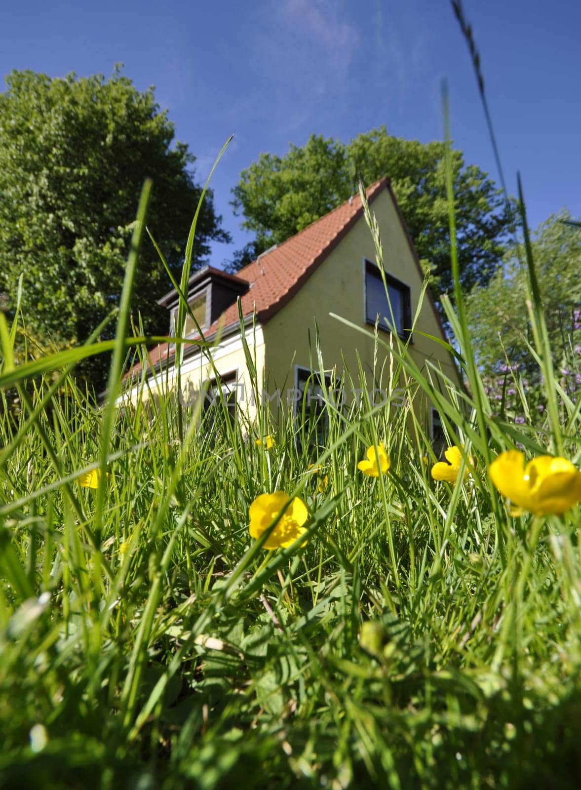 a house in the green grass recorded in WW