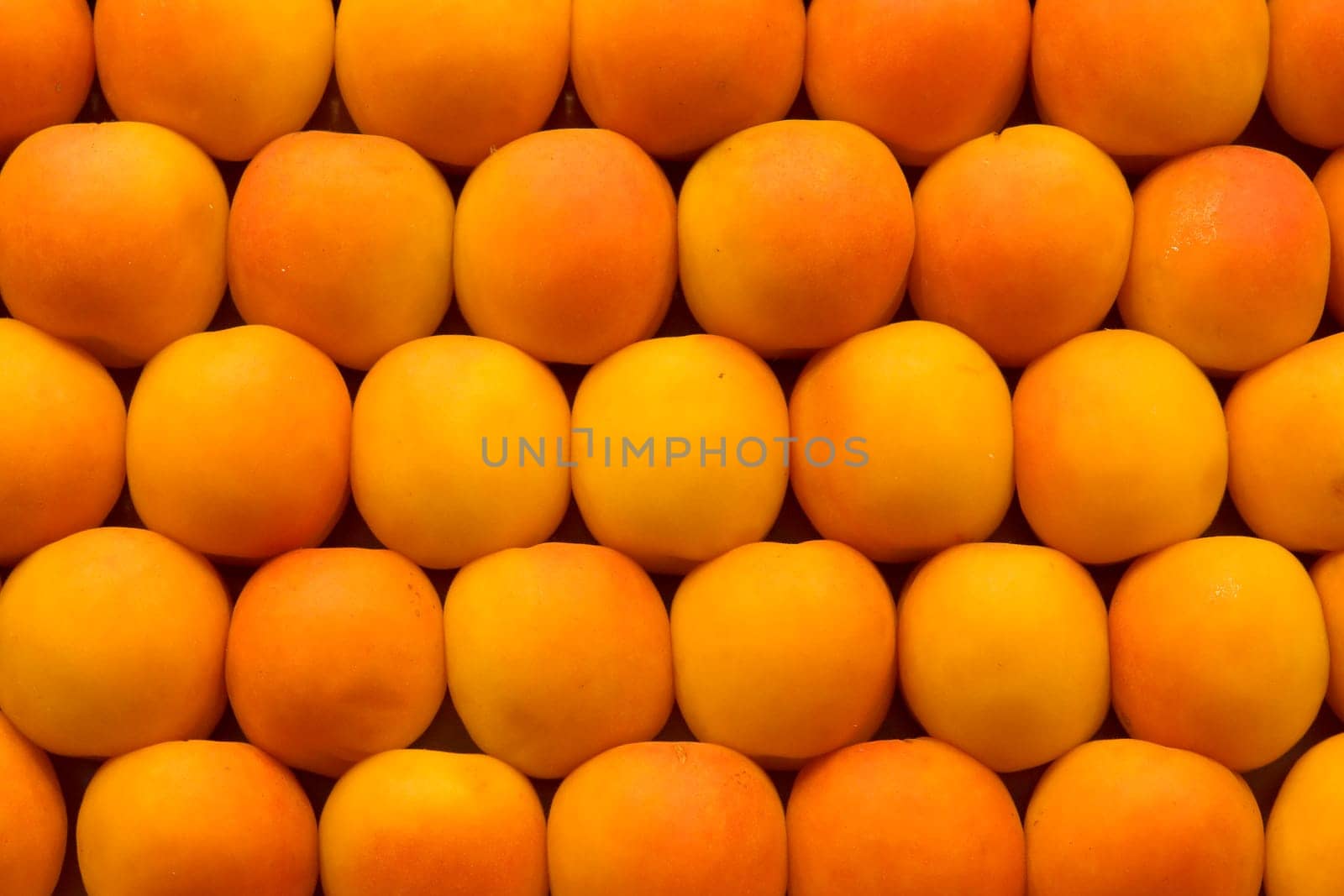 Fresh apricots