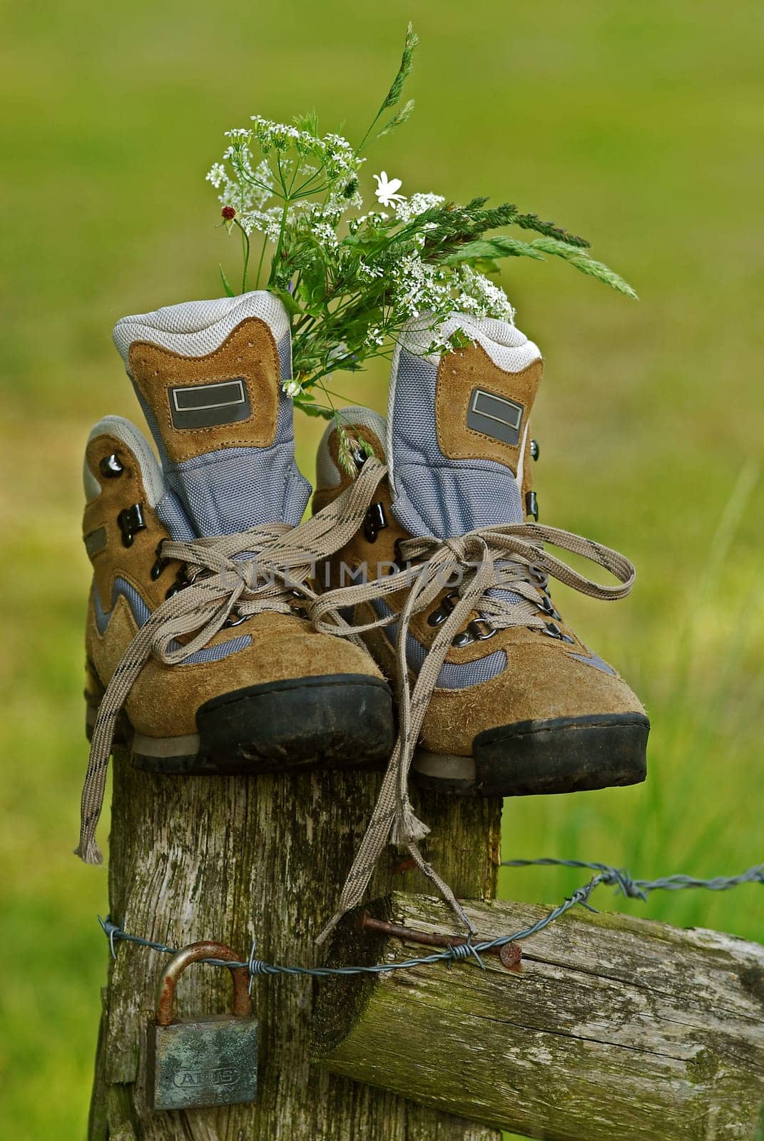 Walking shoes