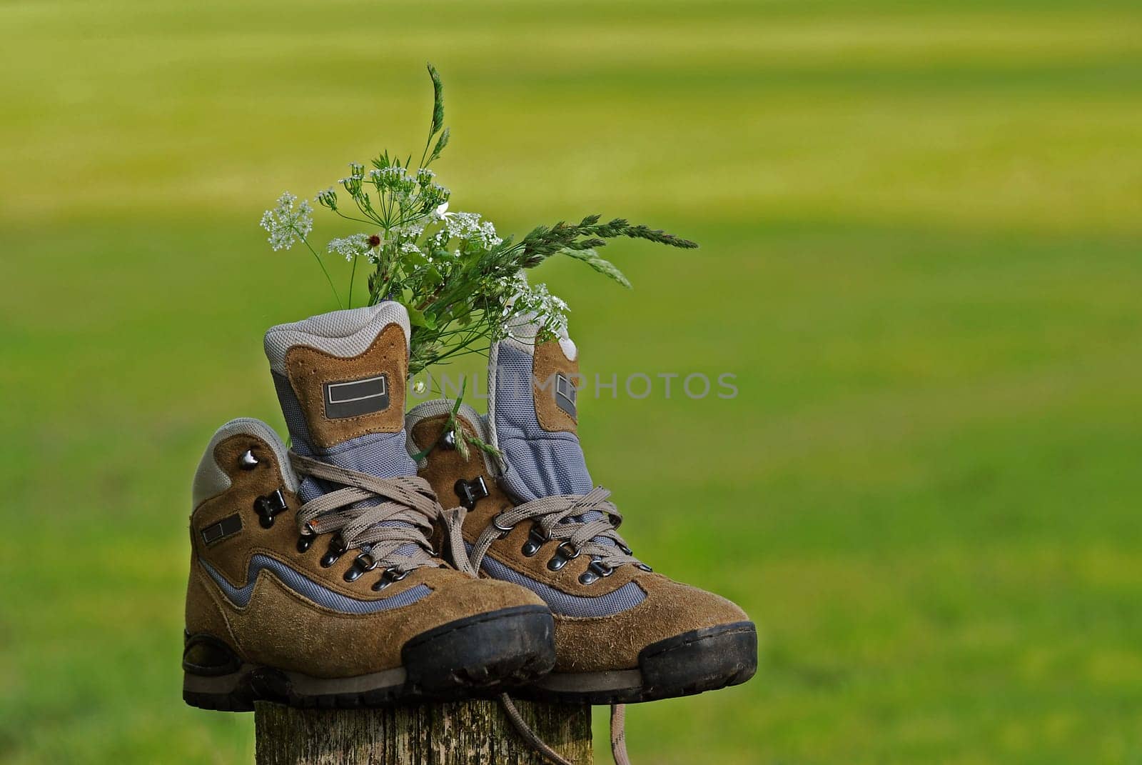 Walking shoes