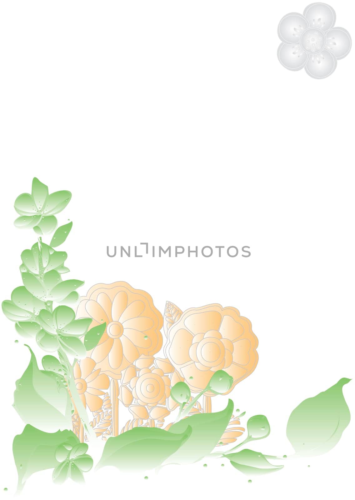 Background - Design Template - Flowers