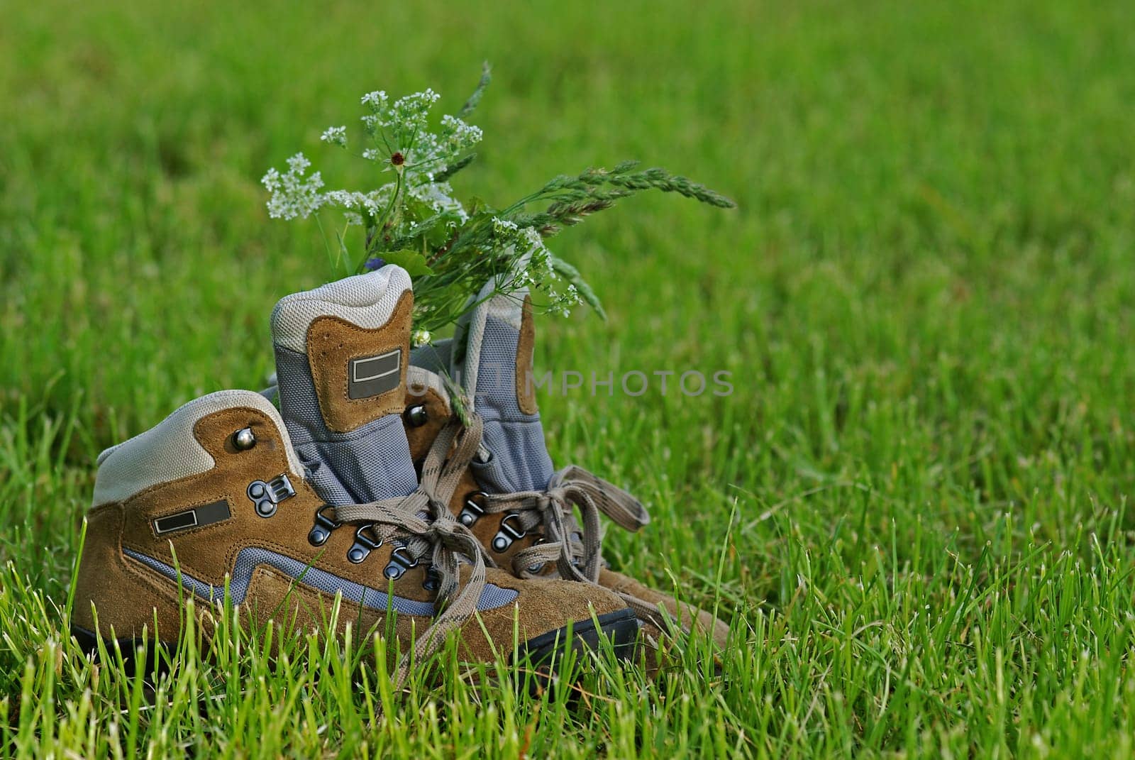 Walking shoes