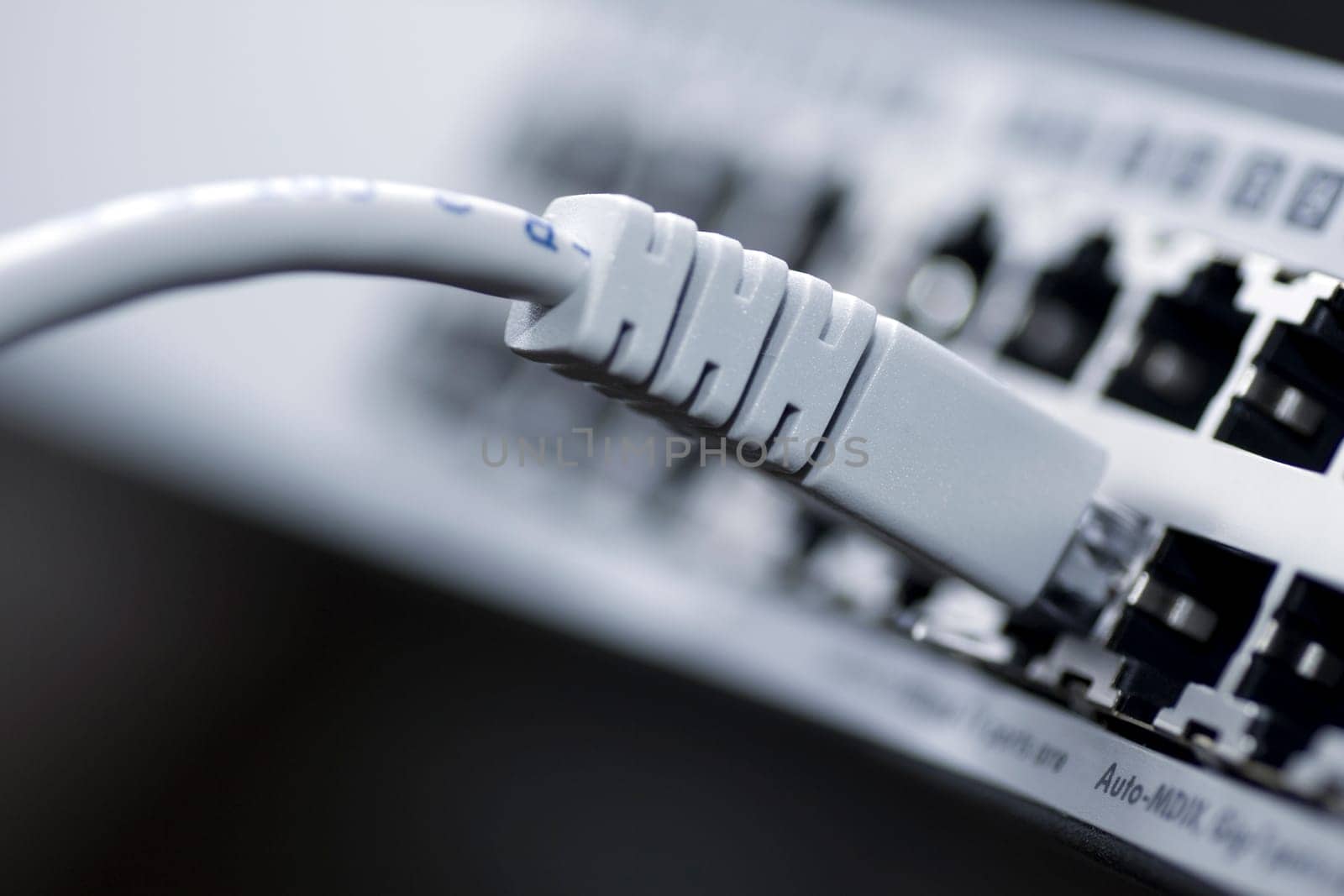 Network cable connected to a switch