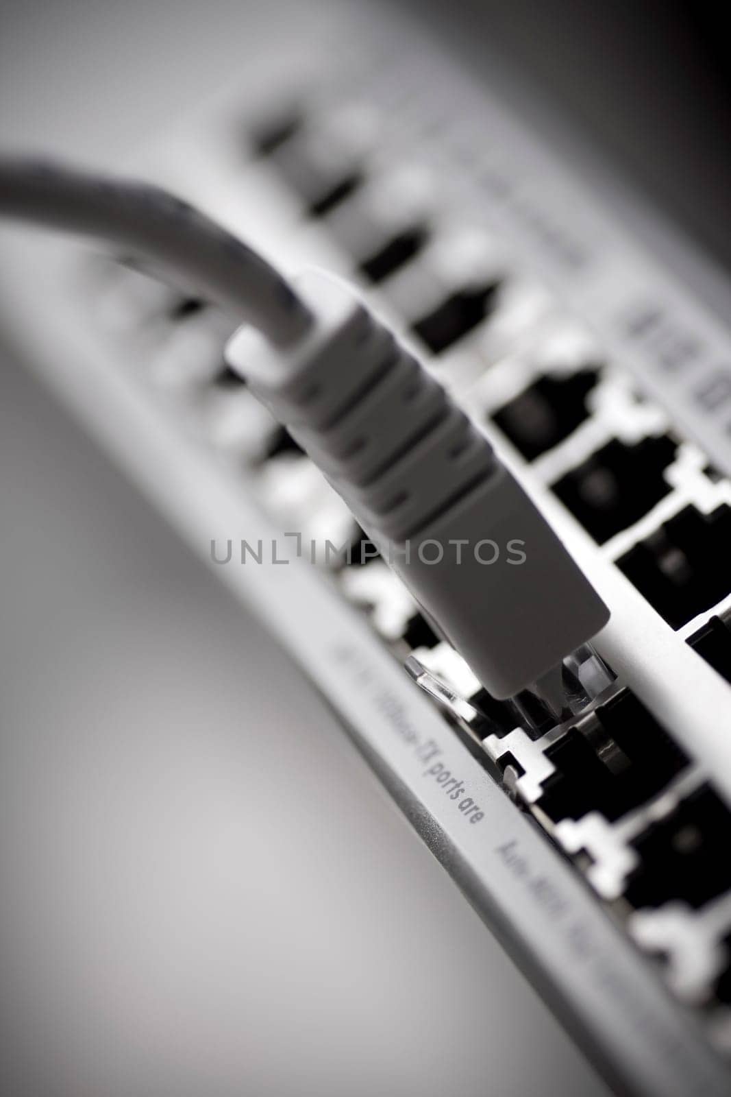 Network cable connected to a switch