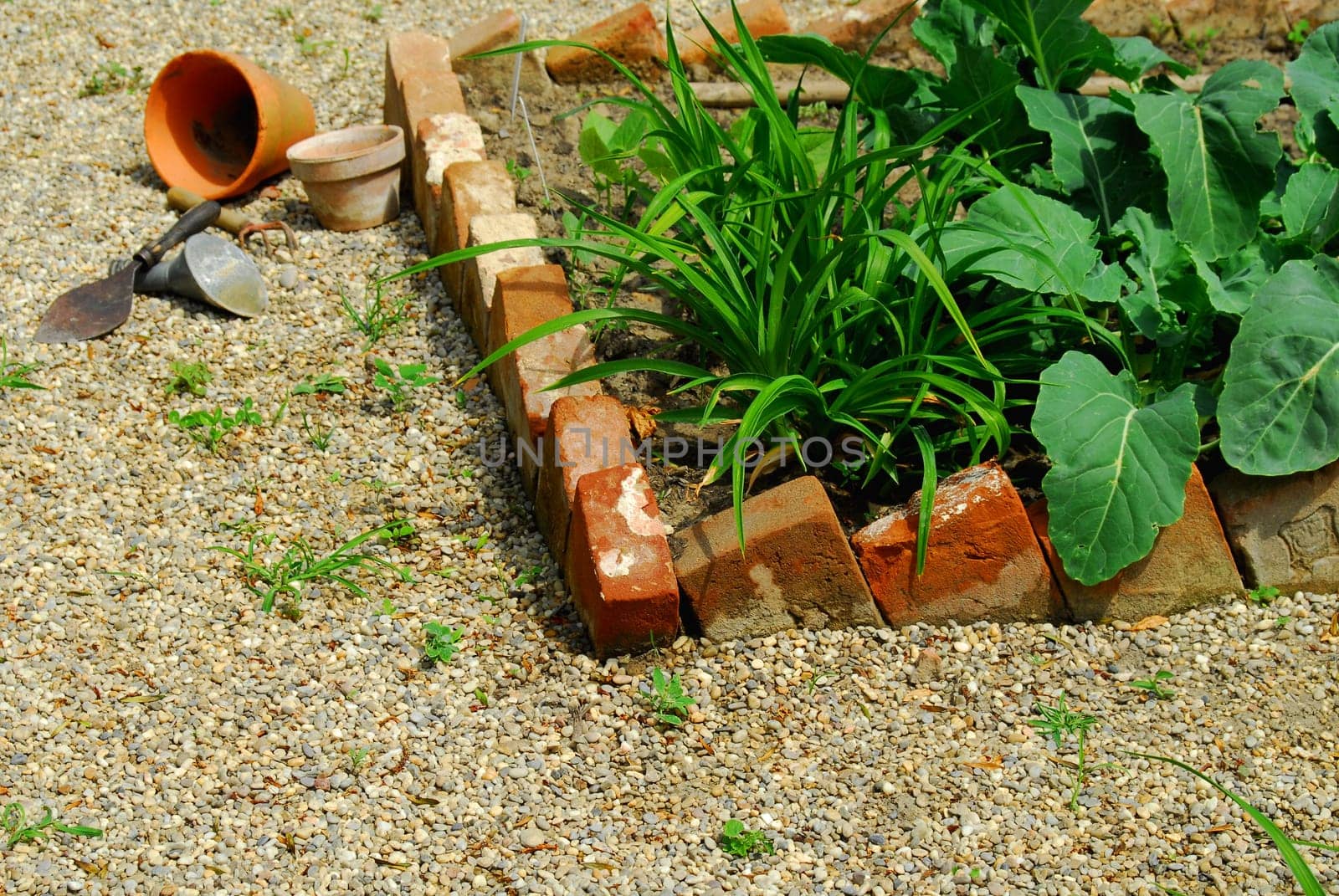 gardening