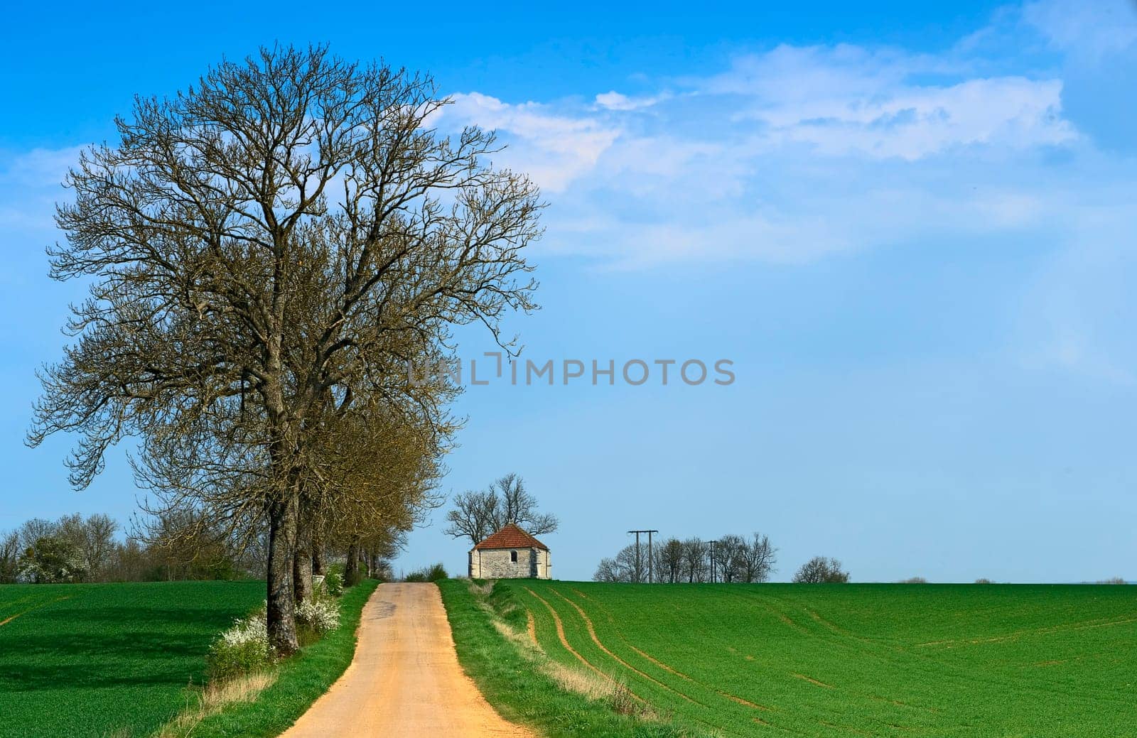 Landscape in the Ile de France
