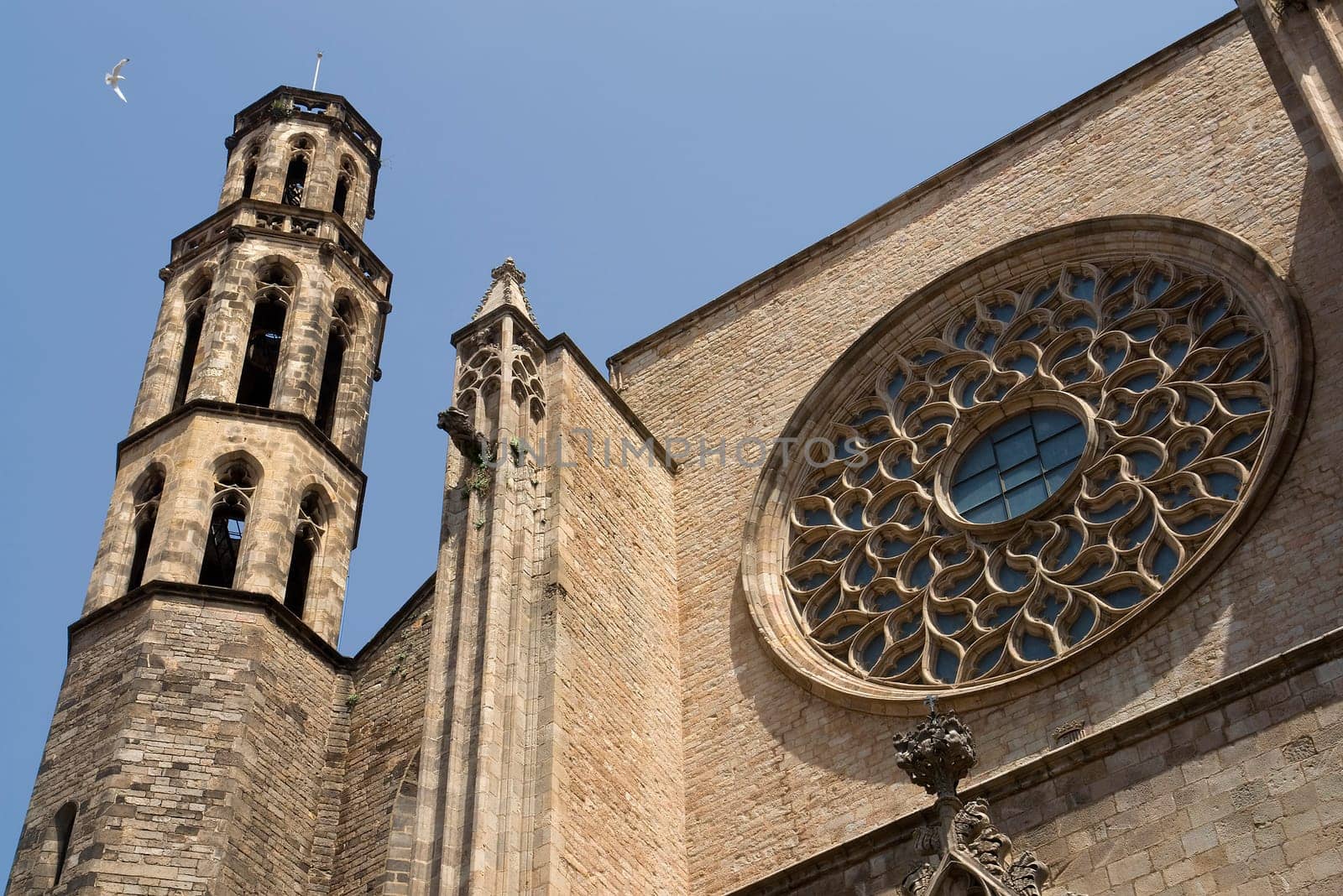 Santa Maria in Barcelona