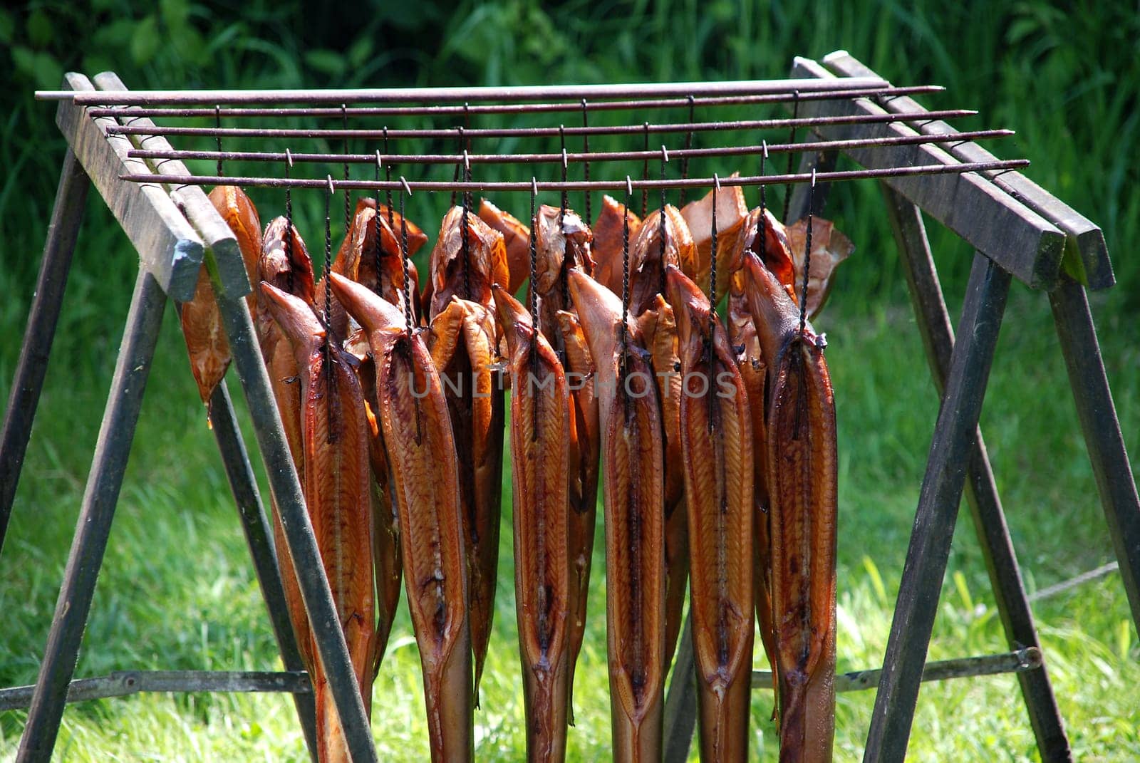 smoked fish