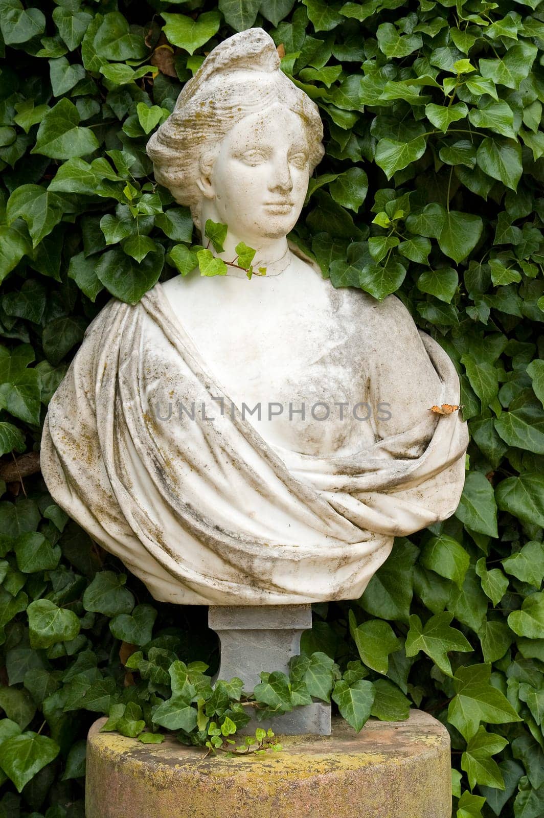 Portrait of a woman in Barcelona