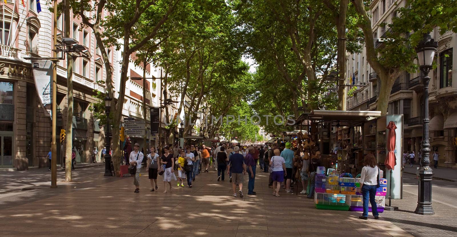 The Rambla in Barcelona