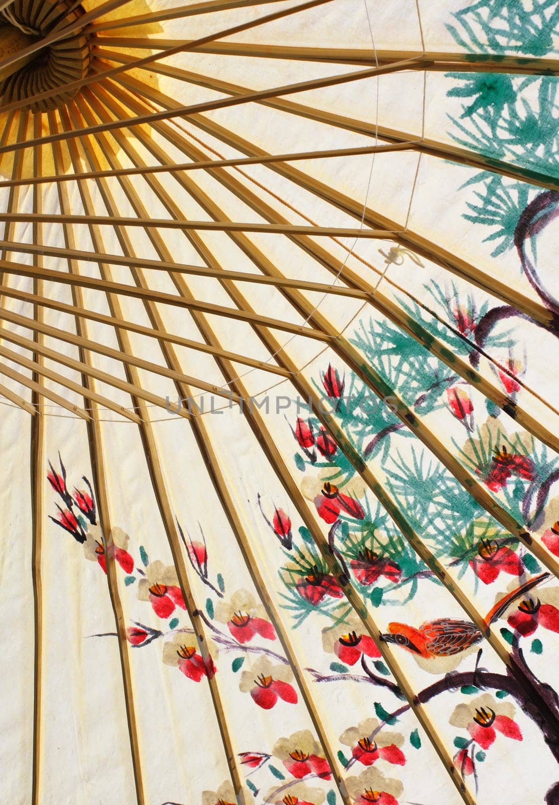 asian umbrella detail