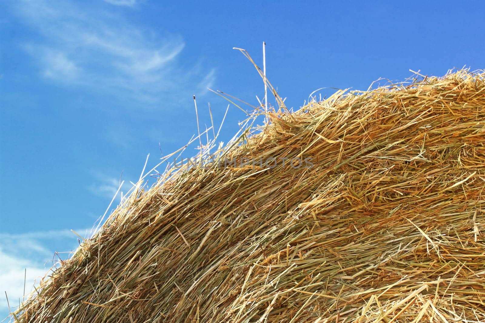 bale and sky