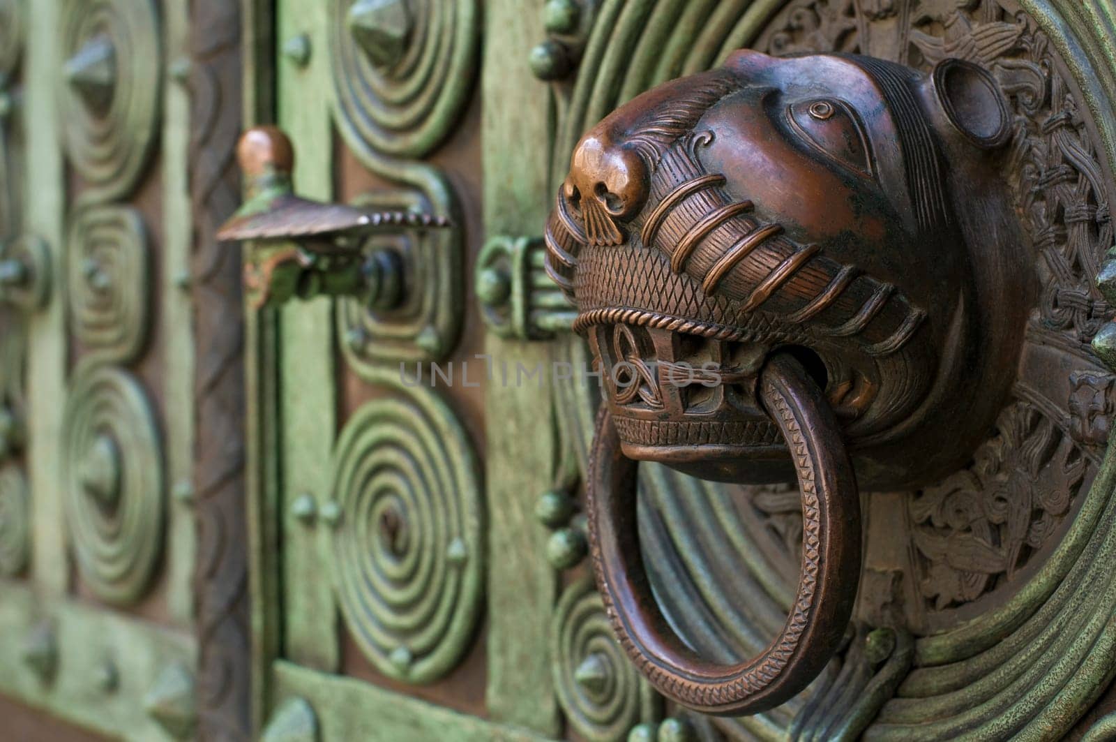 Lion's Door02