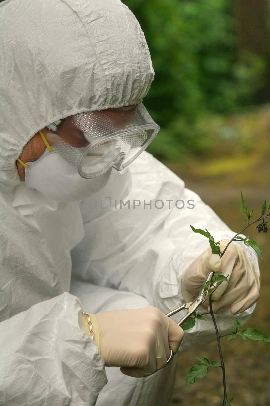 man investigates flower