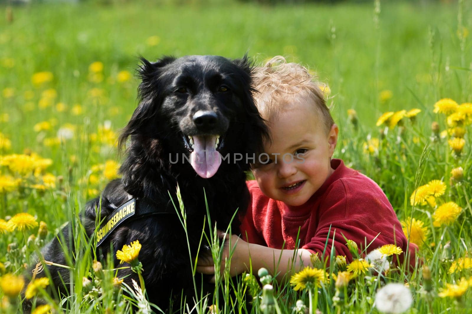 friendship