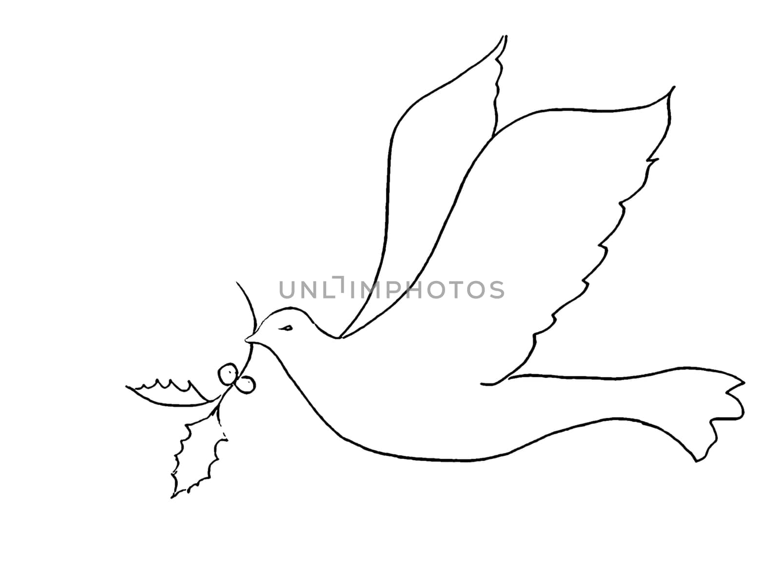 bird silhouette - peace symbol concept
