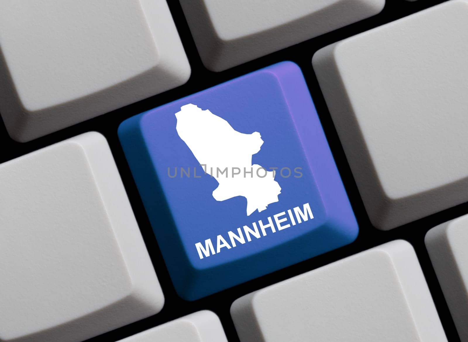 Mannheim on the Internet