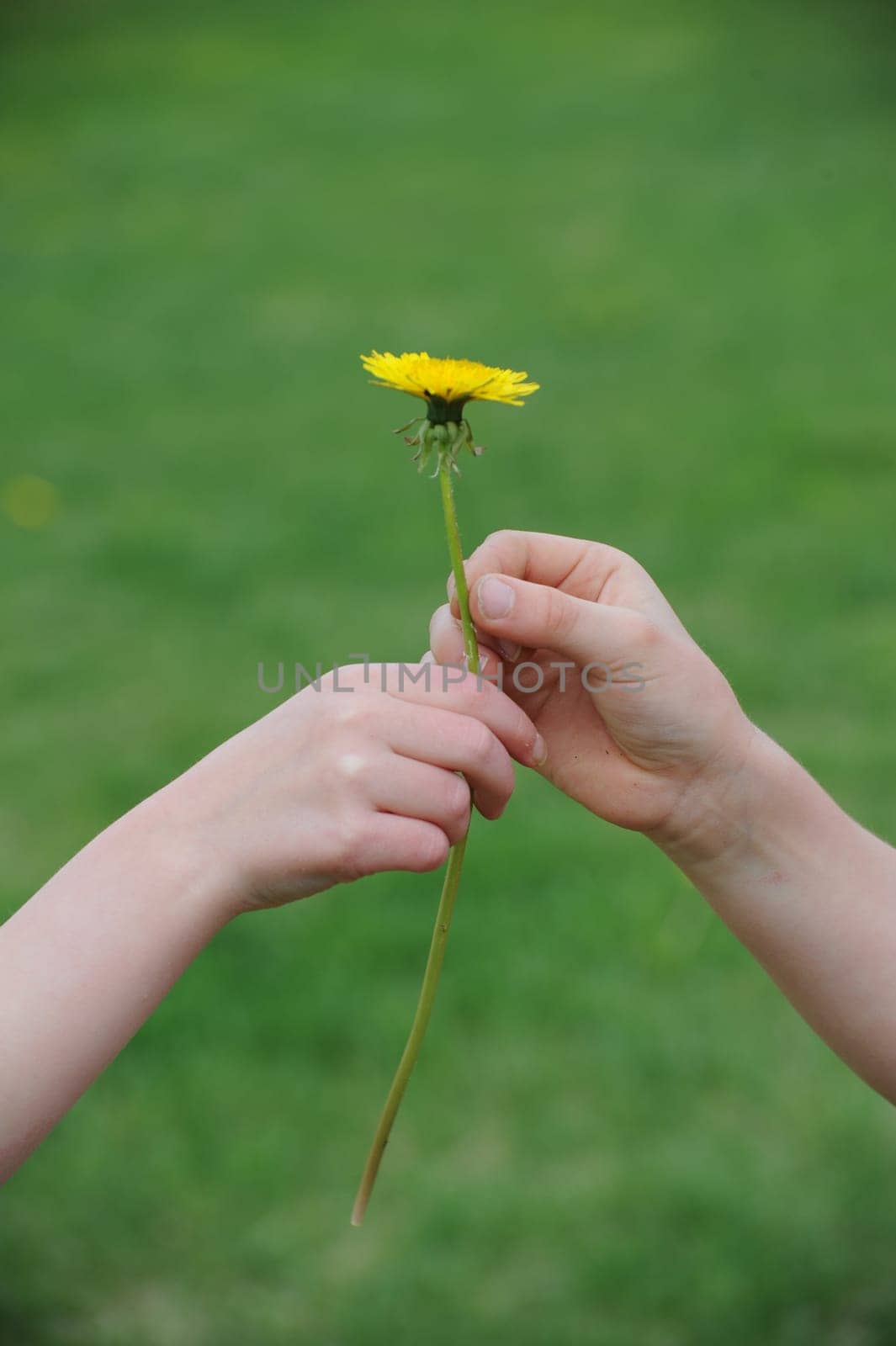 Friendship