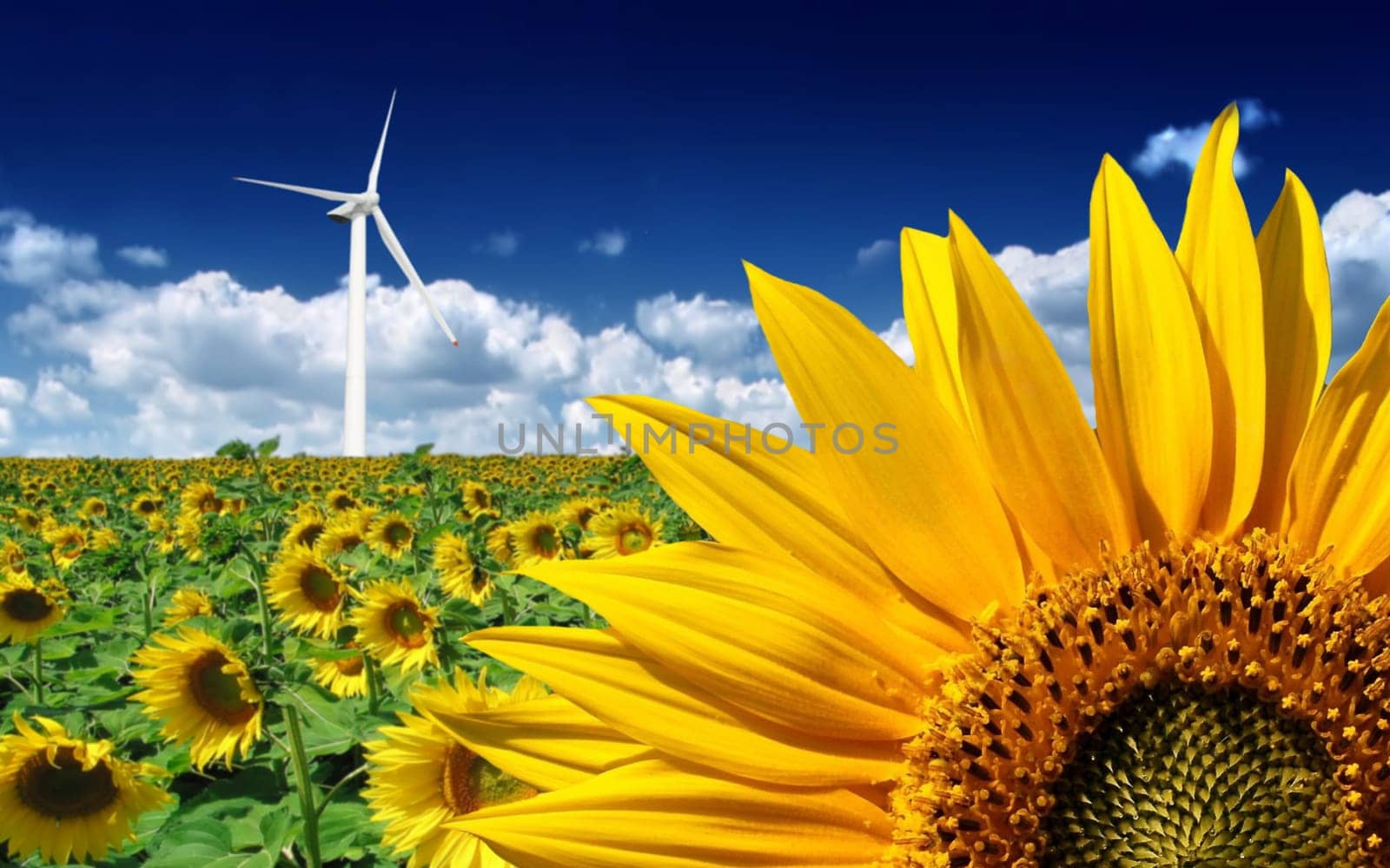 Clean energies from the nature