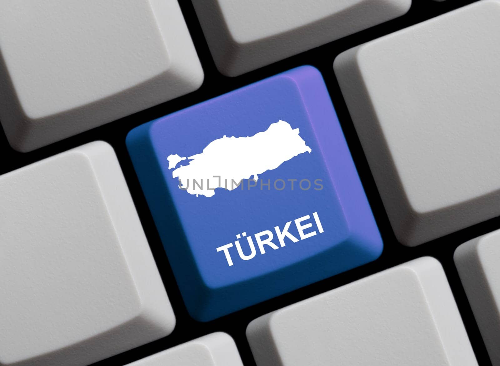 Turkey on the Internet
