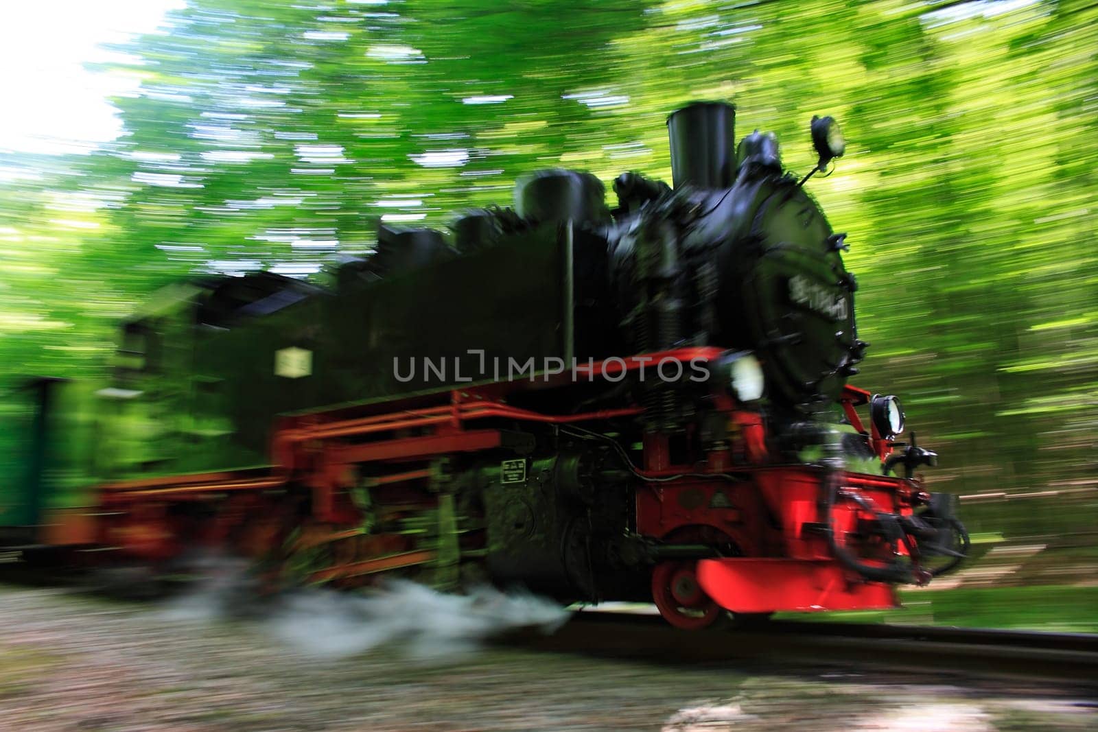 Rügensche Kleinbahn "Rasender Roland"" in the forest of Lancken-Granitz,island of Rügen"